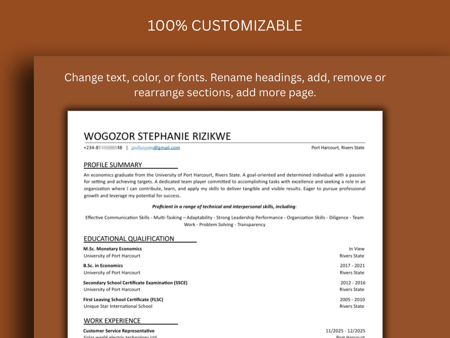 Professional CV Template - Payhip