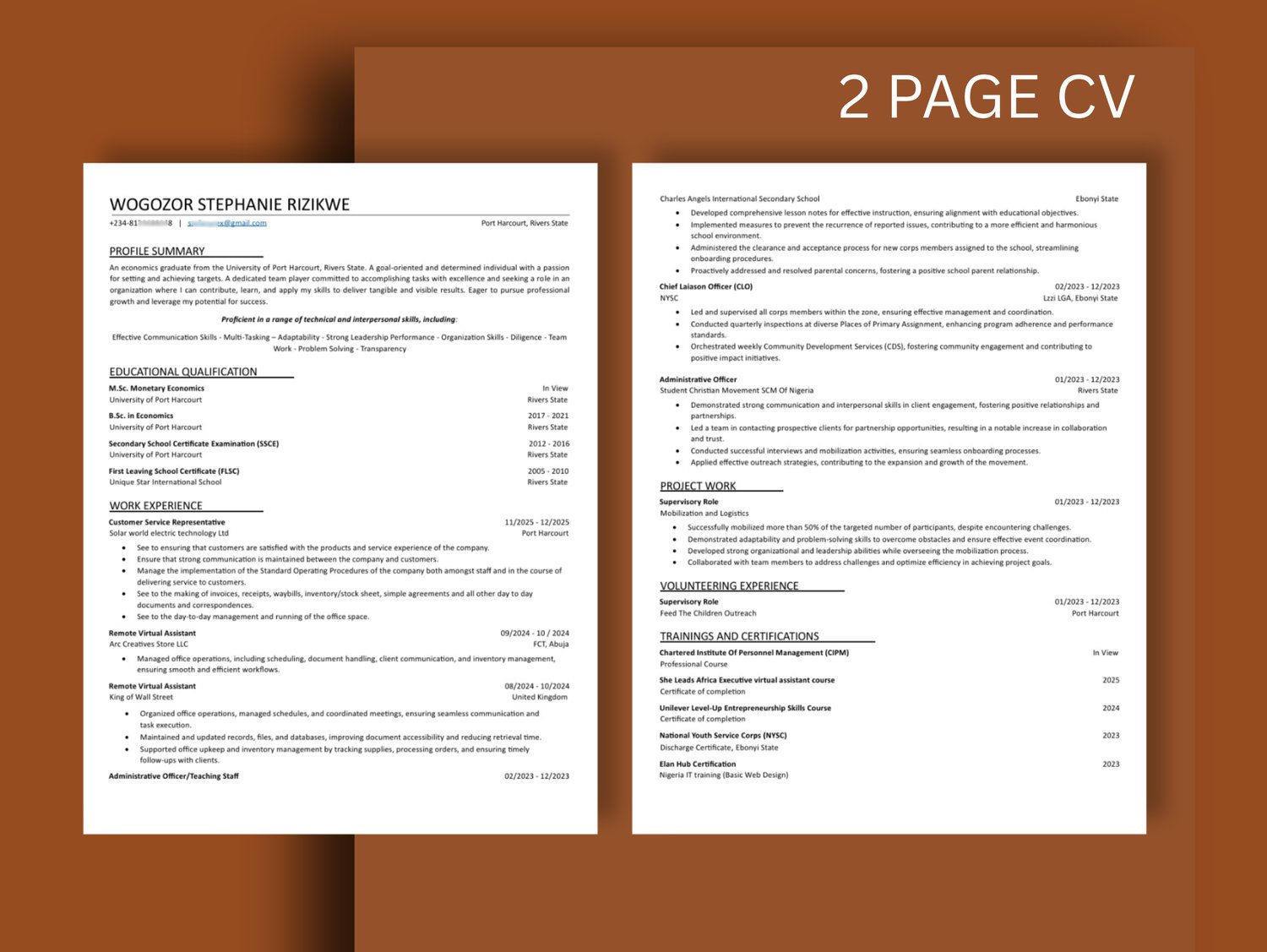Professional CV Template - Payhip