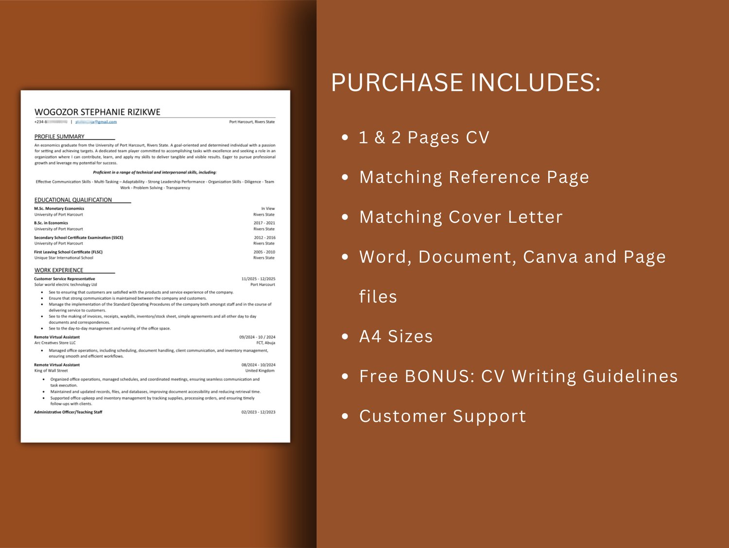 Professional CV Template - Payhip