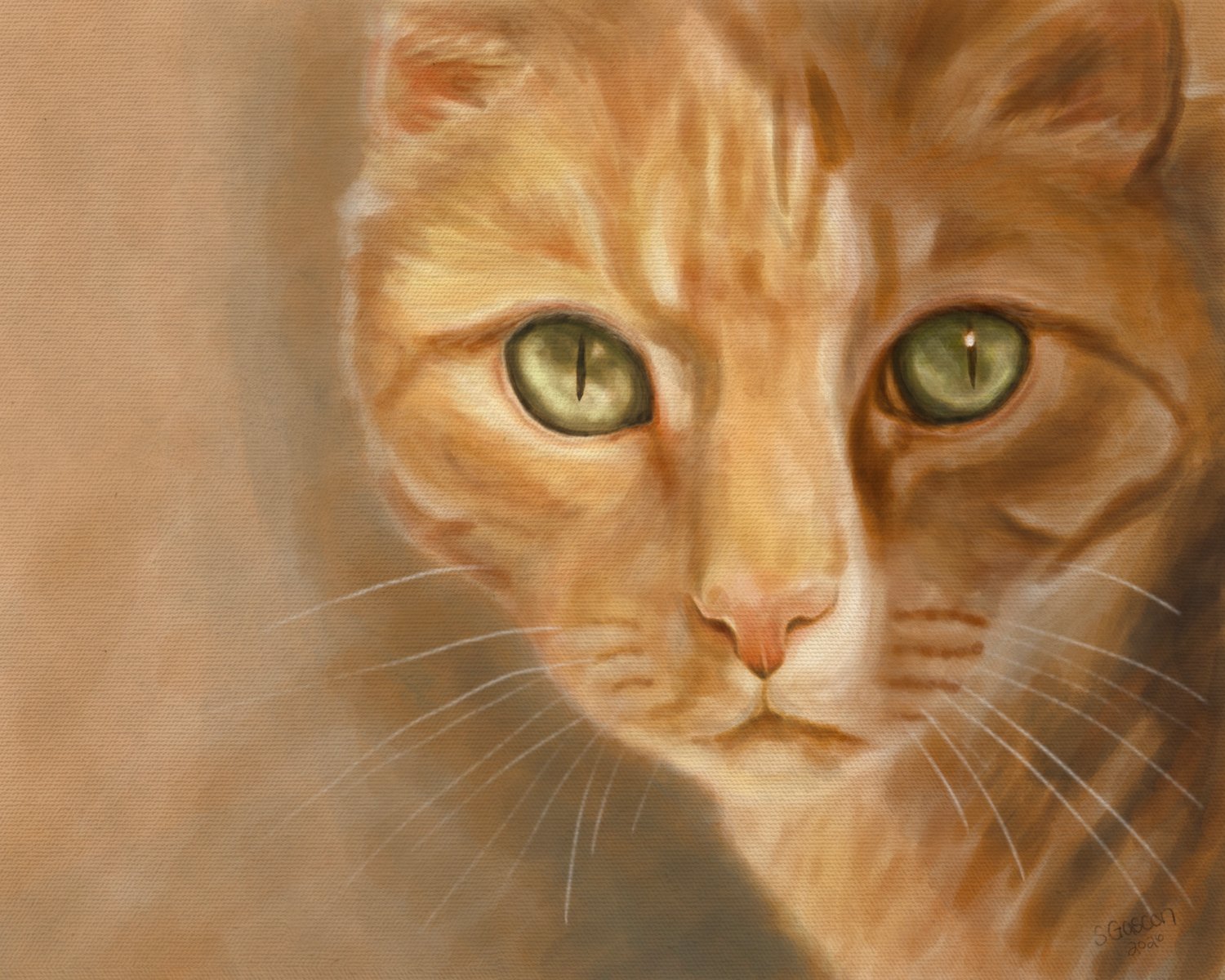 Orange cat in shadow with intense gaze