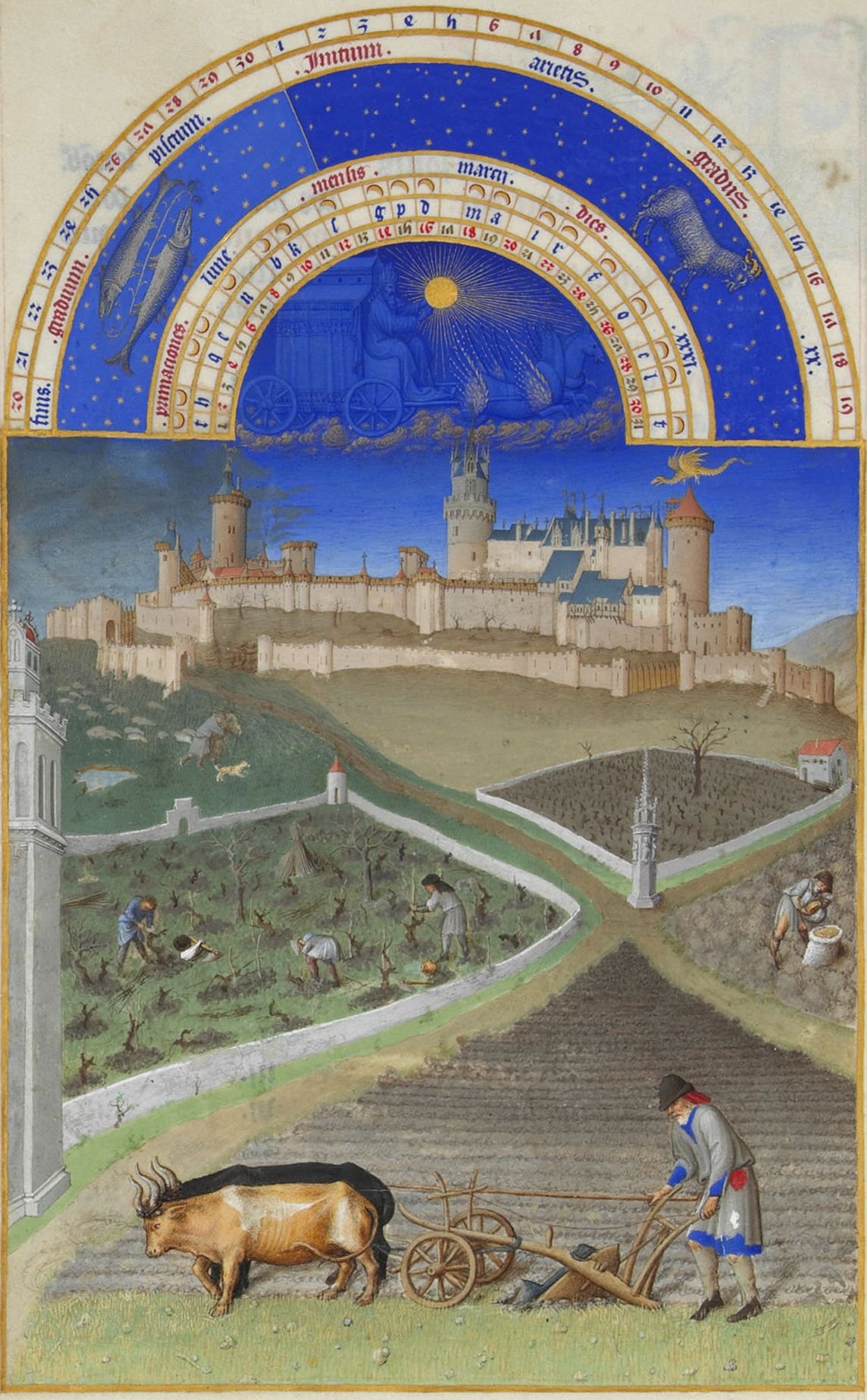 A page from an illuminated manuscript showing a bright blue sky over a medieval castle. In the foreground a man ploughs with a team of oxen. In the middle is a vineyard and a sower. There are sheep in the background.