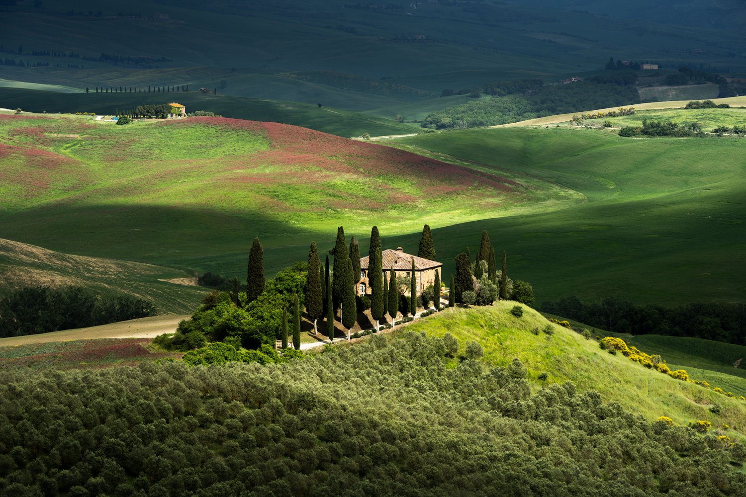 Tuscany Podere Belvedere Dappled light landscape photography italy gladiator house