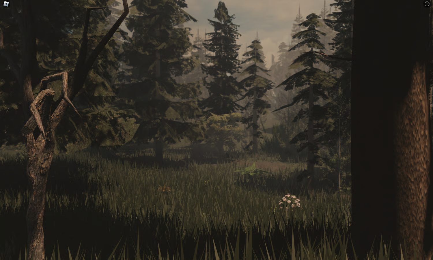 Roblox forest survival map