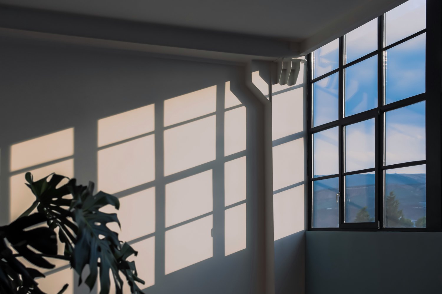 Amel Majanovic from Unsplash