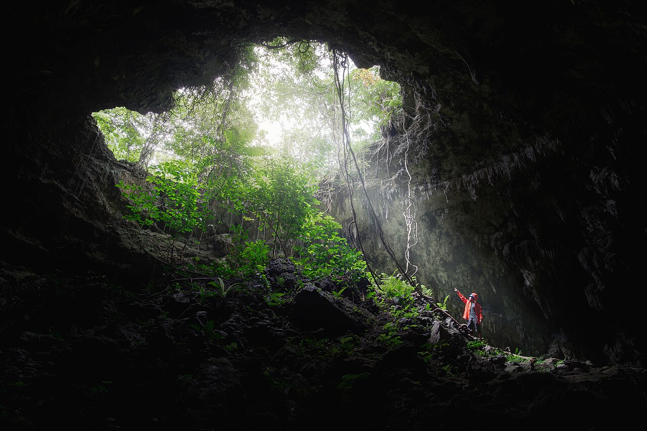 A photograph of a dark cave with an opening above, through which light streams in a triangular shape. At the point of the light we can see a person in orange high viz pointing to the light. Trees can be seen above the cave.