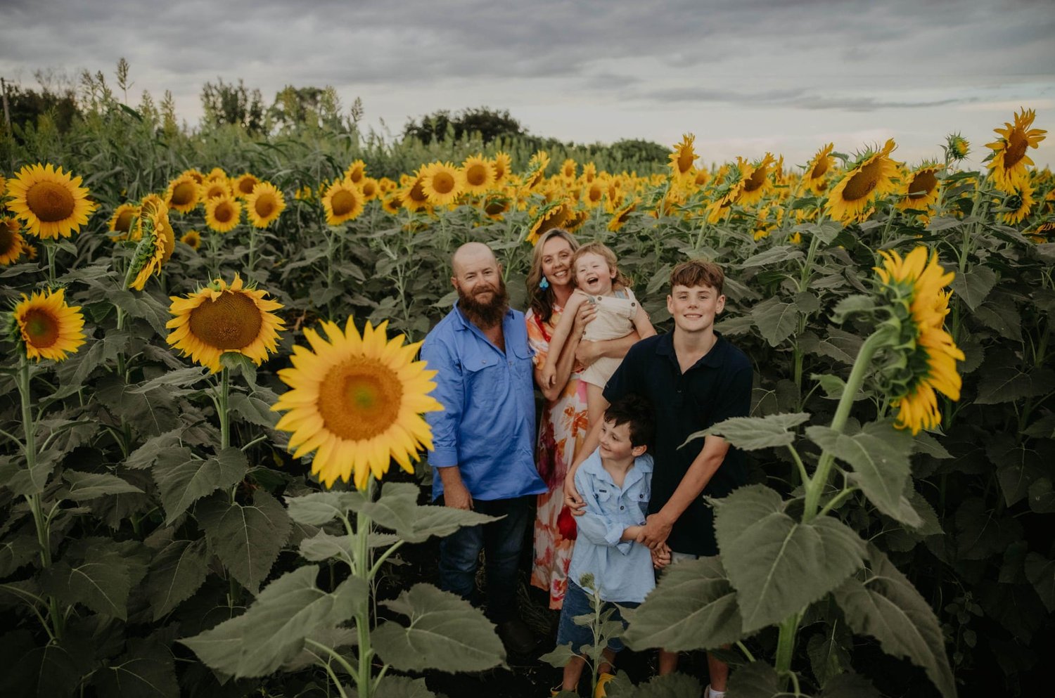 Family photo on a sunflower farm