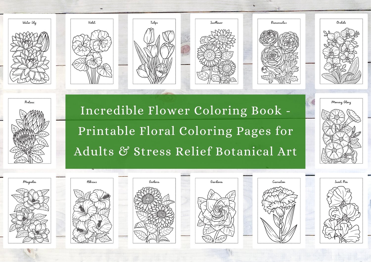 Stress relief botanical Art