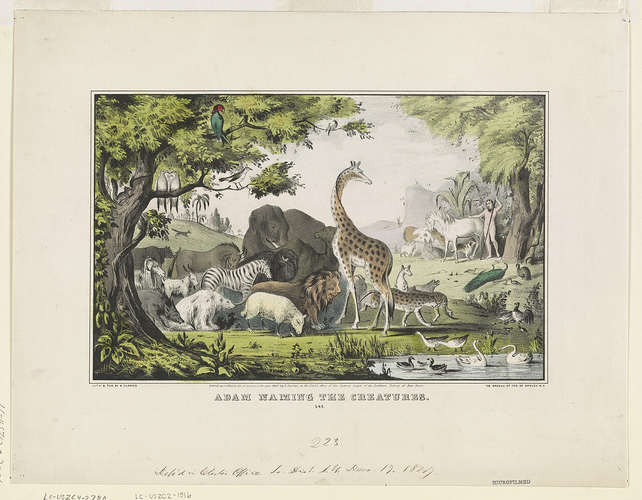 A lithograph print with a group of wild animals by a pool in the shade of a tree. There is a giraffe, an elephant, a sheep and a lion, among others. In the middle distance, Adam stands naked (with a carefully placed staff!) naming the horse.