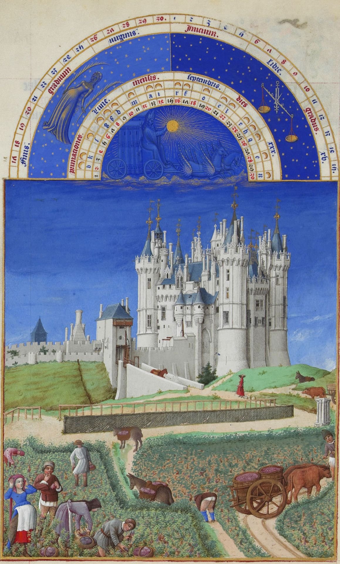 A page from an illumnated manuscript with a bright blue sky and a castle in the background. In the foreground people are harvesting grapes. An ox cart with large baskets stands waiting to be filled.