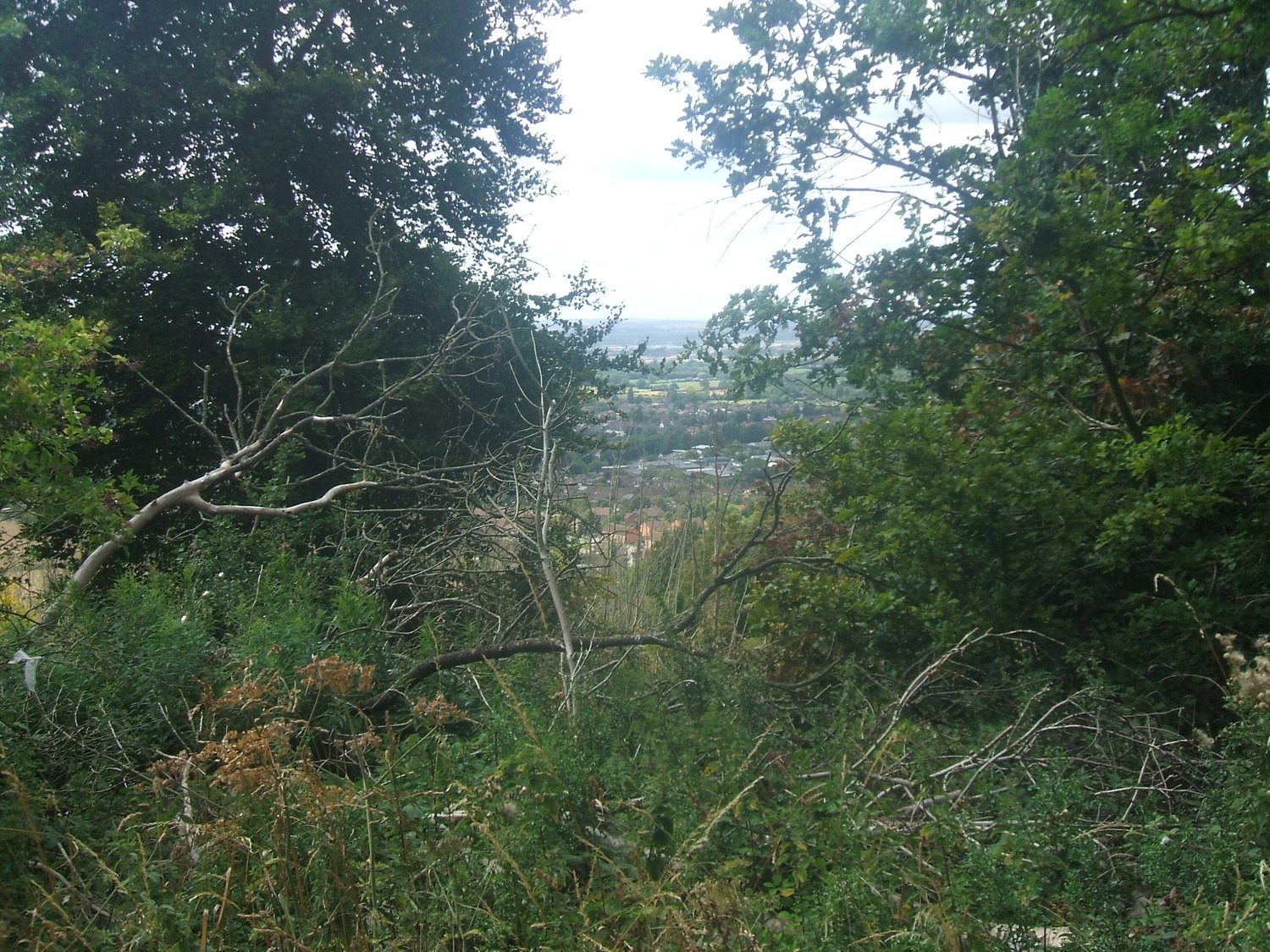 Boddington Fort – looking North-west