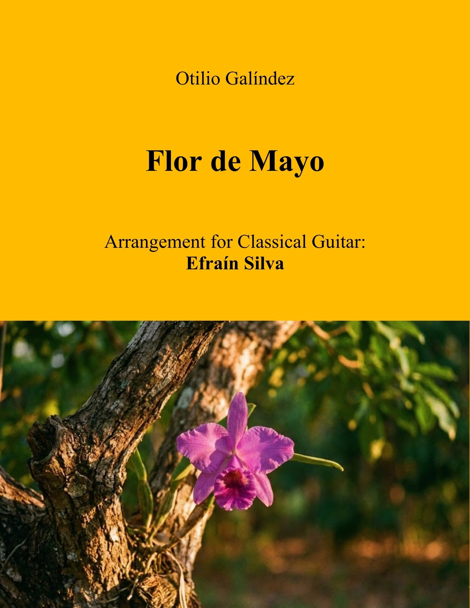 Flor de Mayo, Otilio Galindez, Efrain Silva, Tonada Venezolana, Solo Guitar, Guitarra Sola, Classical Guitar, Guitarra Clasica, Musica Venezolana, Venezuelan Music, Sheet Music, Partituras, Latin American Guitar, Arreglo de Guitarra.