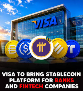 VISA’S NEW VSP PLATFROM THREATENS AFRICAN CENTRAL BANKS’ PLAYBOOK