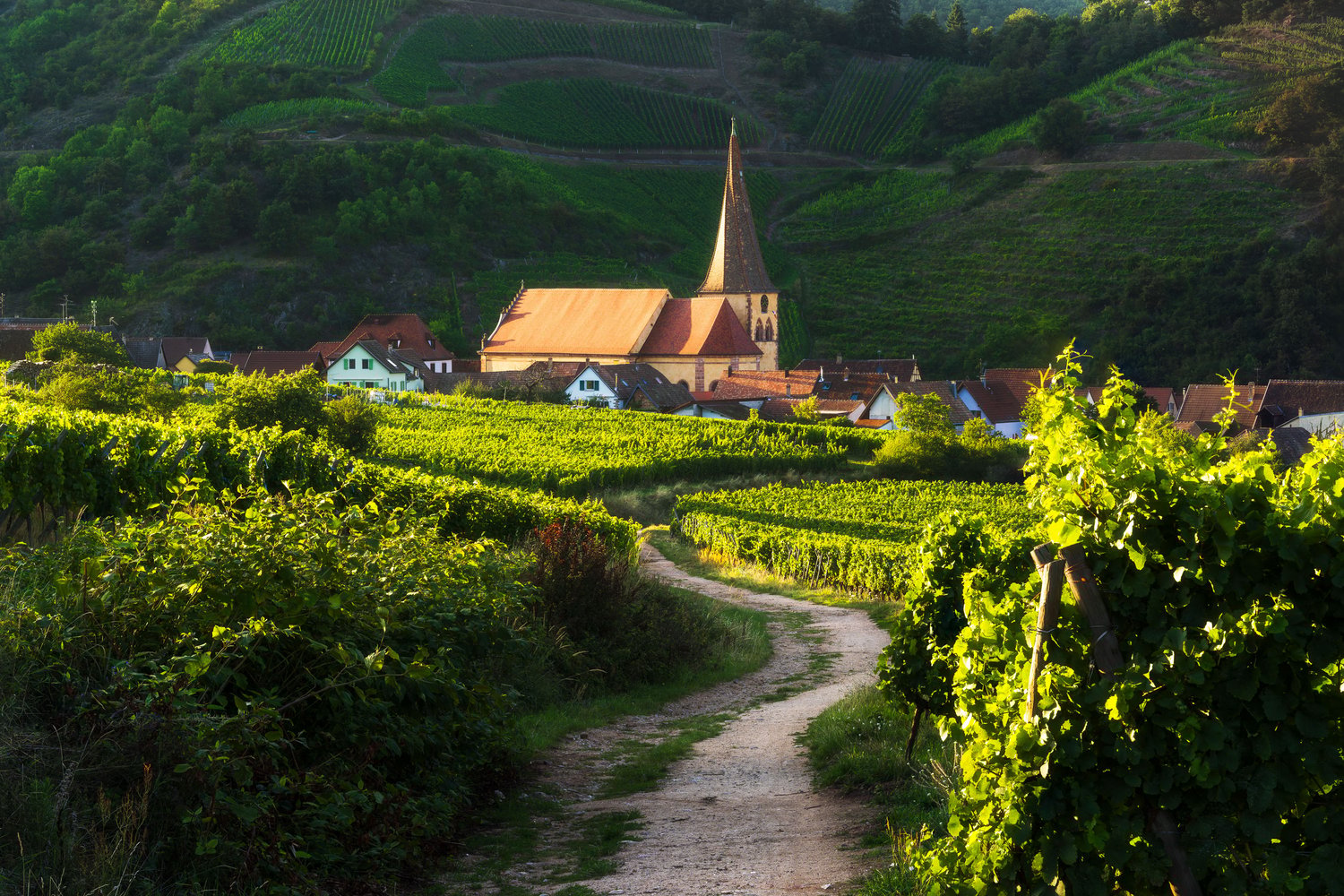 France Alsace Niedermorschwihr leading line sunset town wine fields ranks trail road 1_1