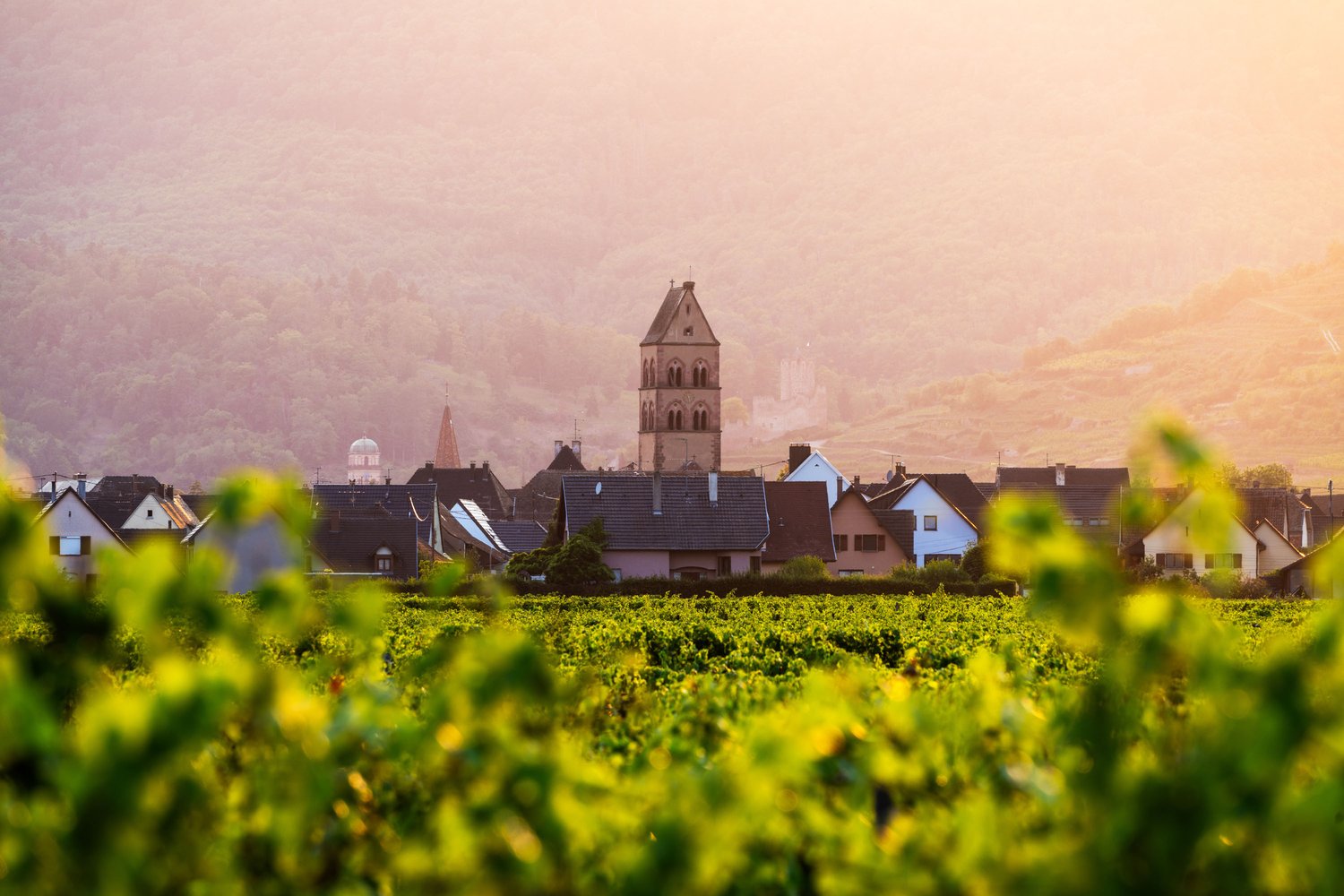 France Alsace Sigolsheim road town landscape photography rural wine ranks church sunset