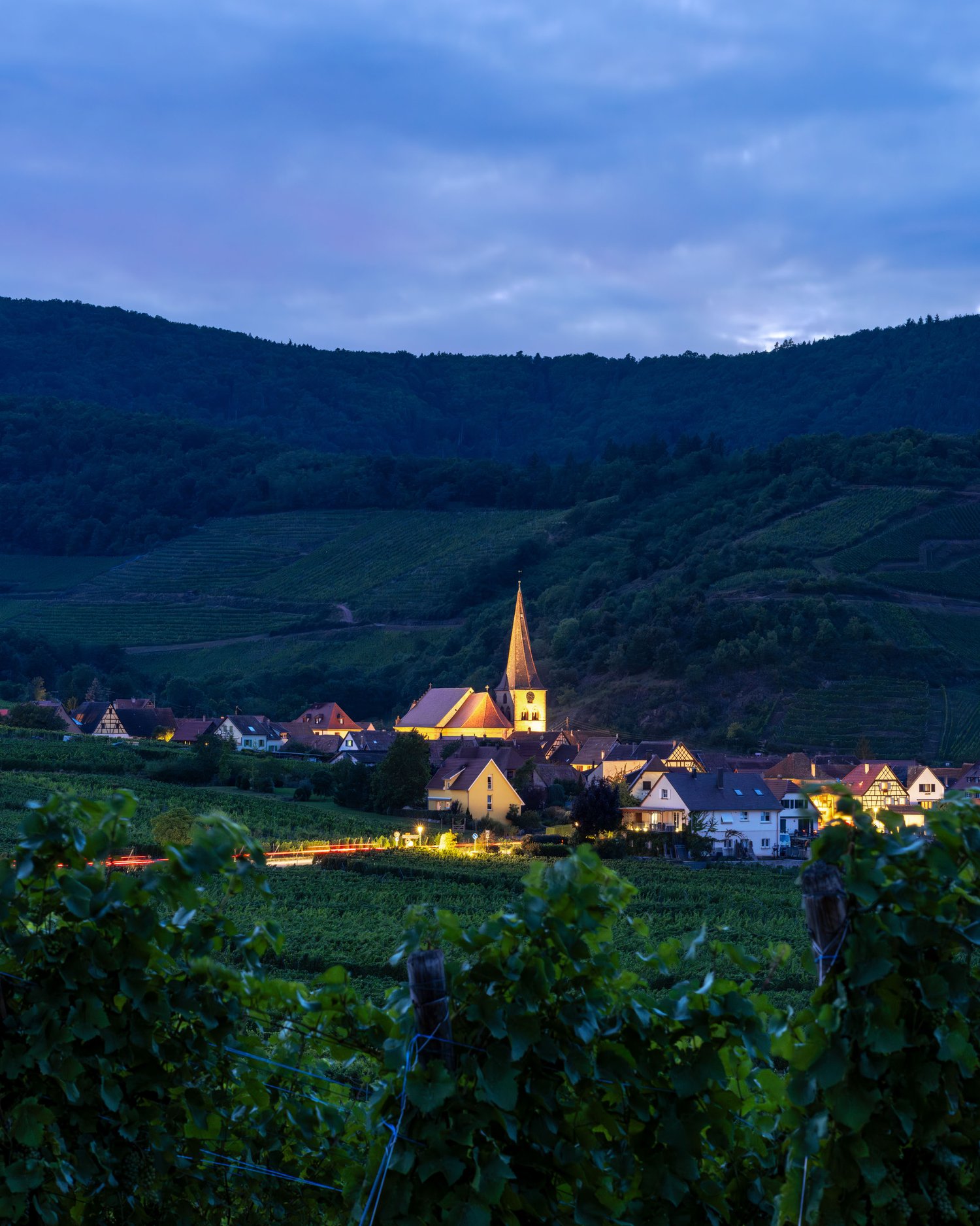France Alsace Niedermorschwihr time blend landscape photography sunset blue hour town 3_1