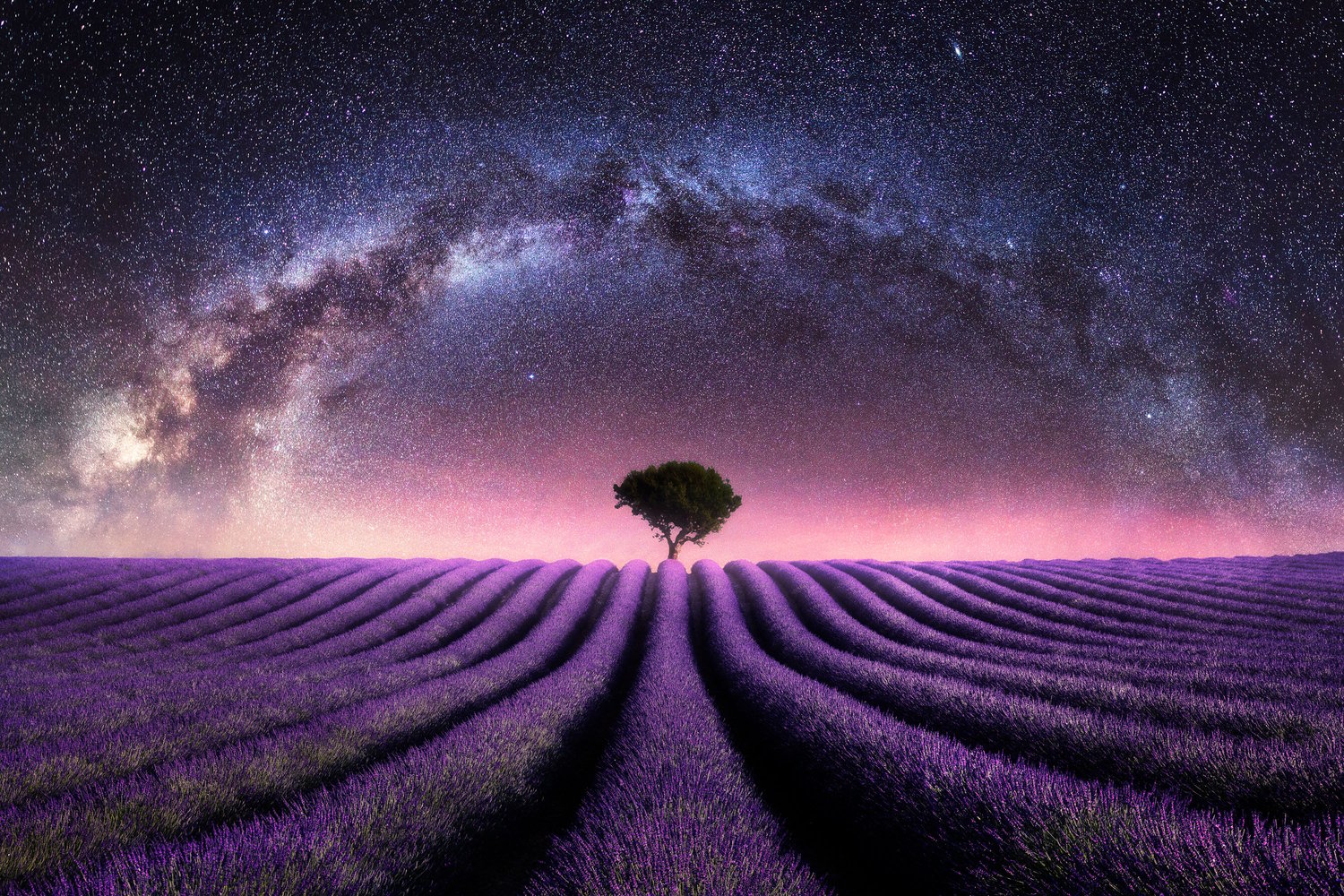 Lavender field valensole milky way night galaxy composite 2