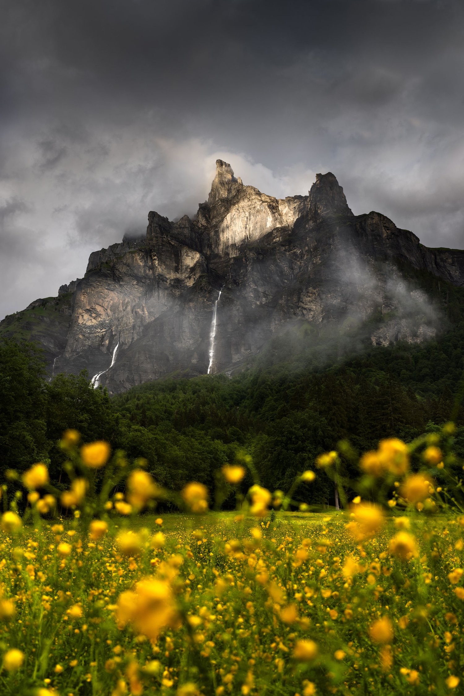 France sixt-fer-à-cheval french Alps mountain waterfall flowers landscape photography summer dappled light meadow moody 2_1