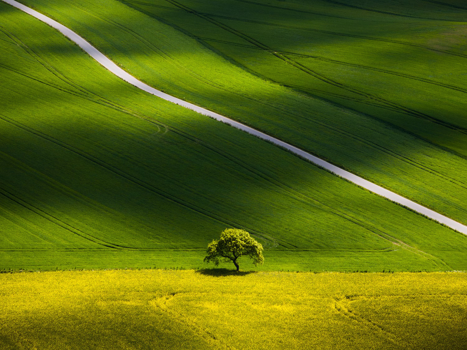 Drone dappled light rural field lone tree road landscape photography denmark 1