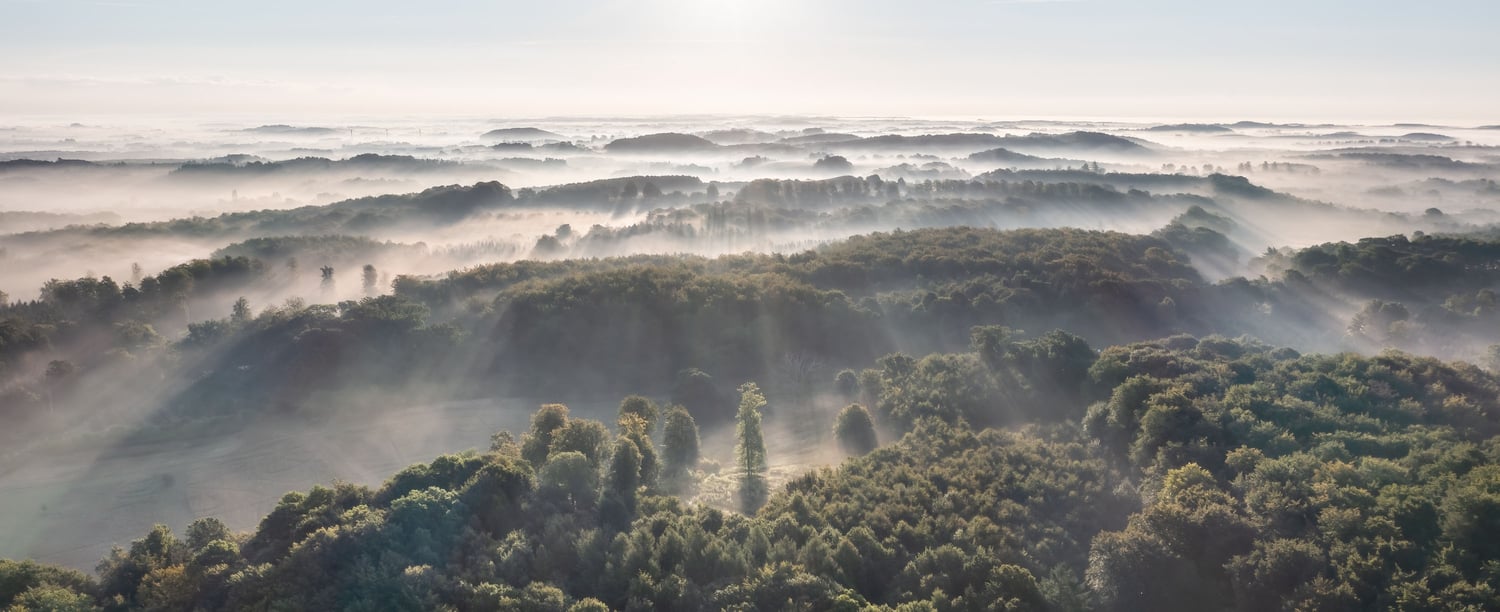 Tissø drone aerial fog morning mist forest woodland sun beams 1