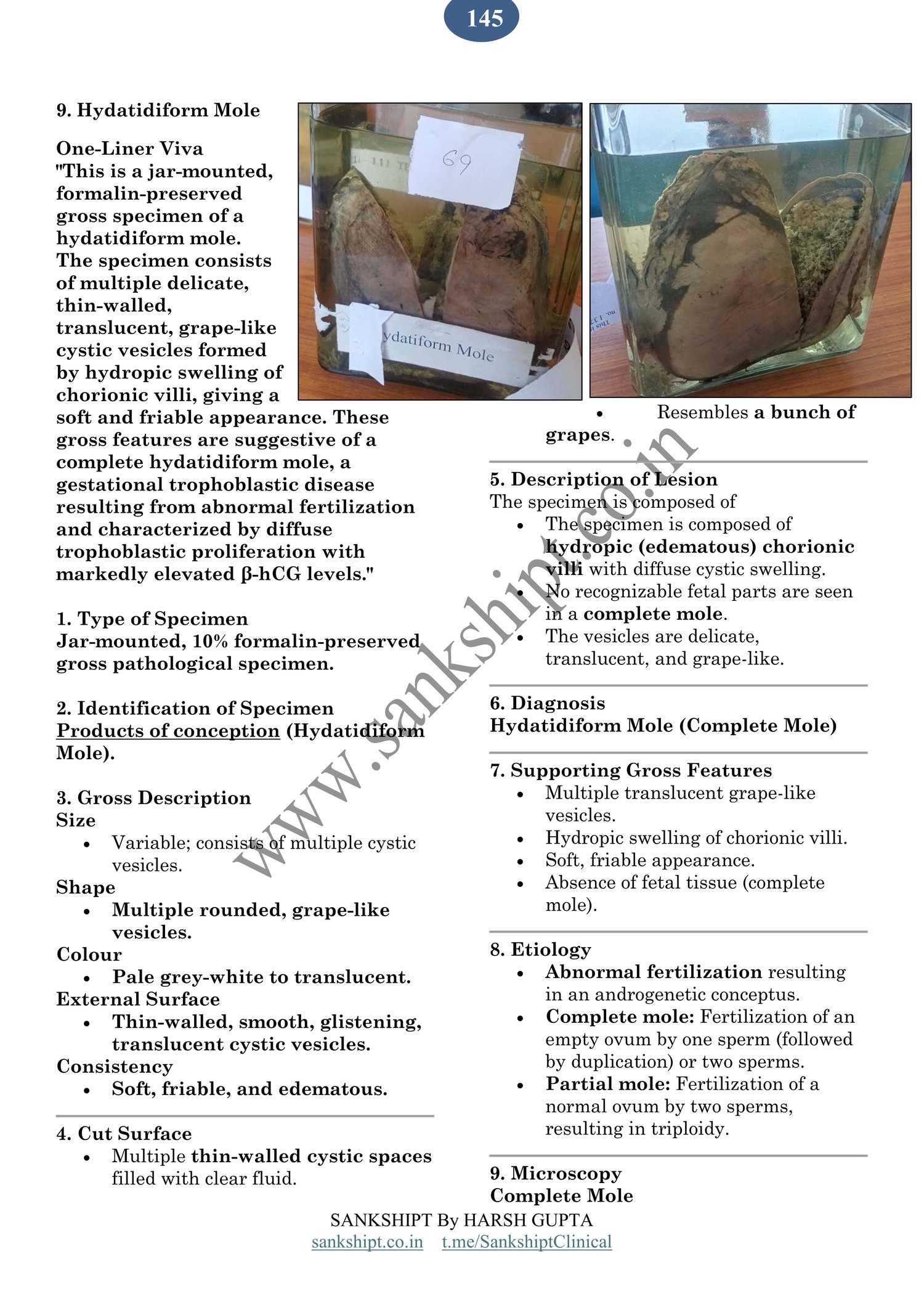 h mole specimen page 1/2