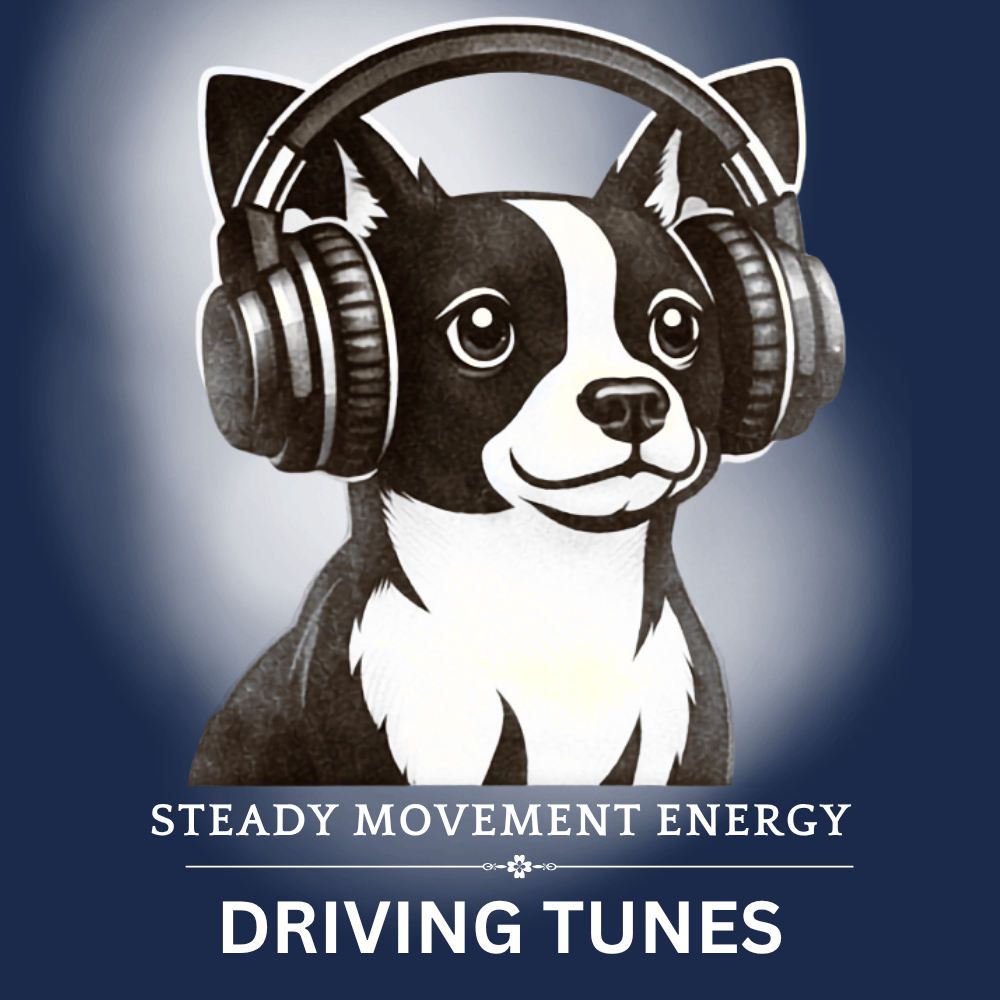 Finnegans Way High Energy, Funky, UpTempo, Dubstep Audio Files