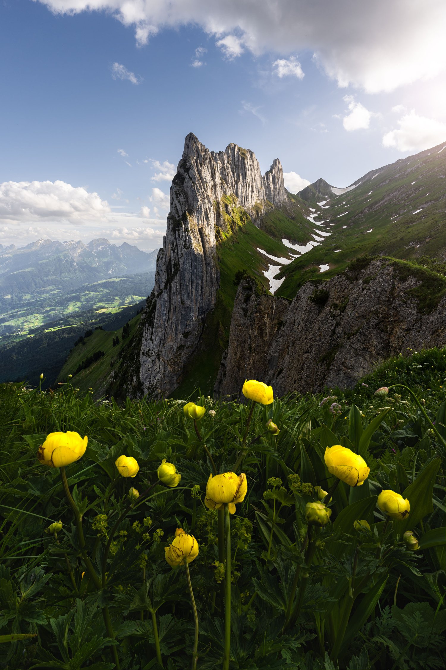 Switzerland Saxer Lücke cliffs mountains landscape photography dappled light 1 flowers wide angle_1