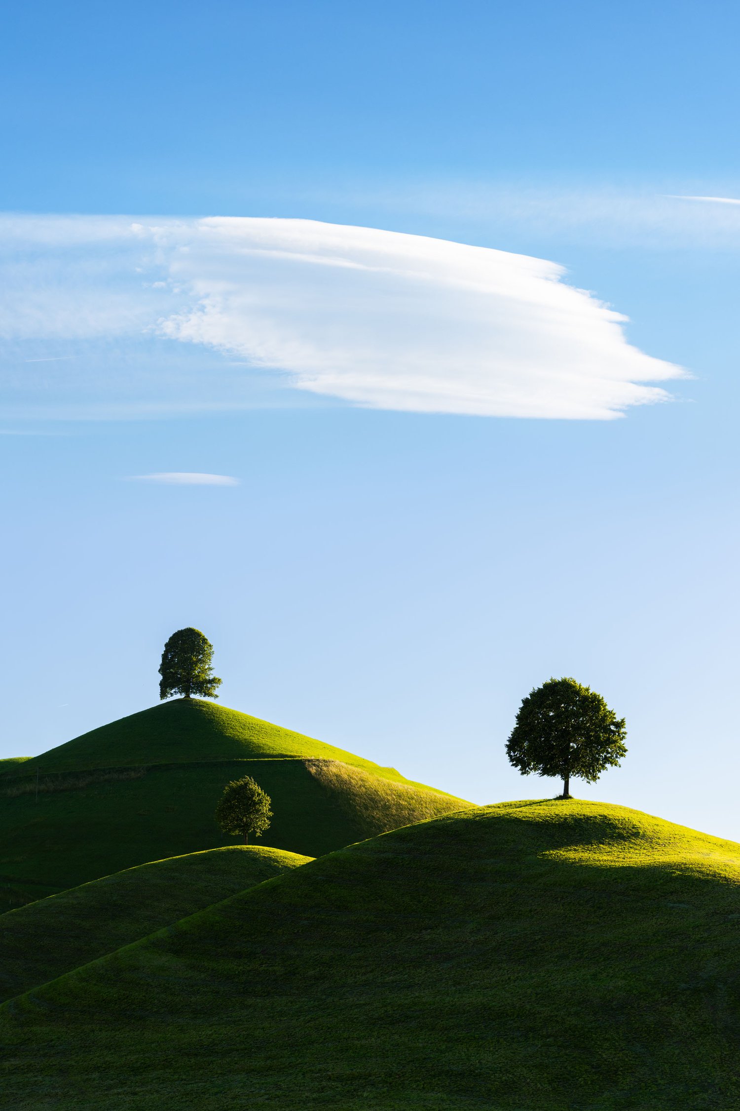 Switzerland three trees fine art landscape swiss alps hills blue sky sunset neuheim linden 1 B_1