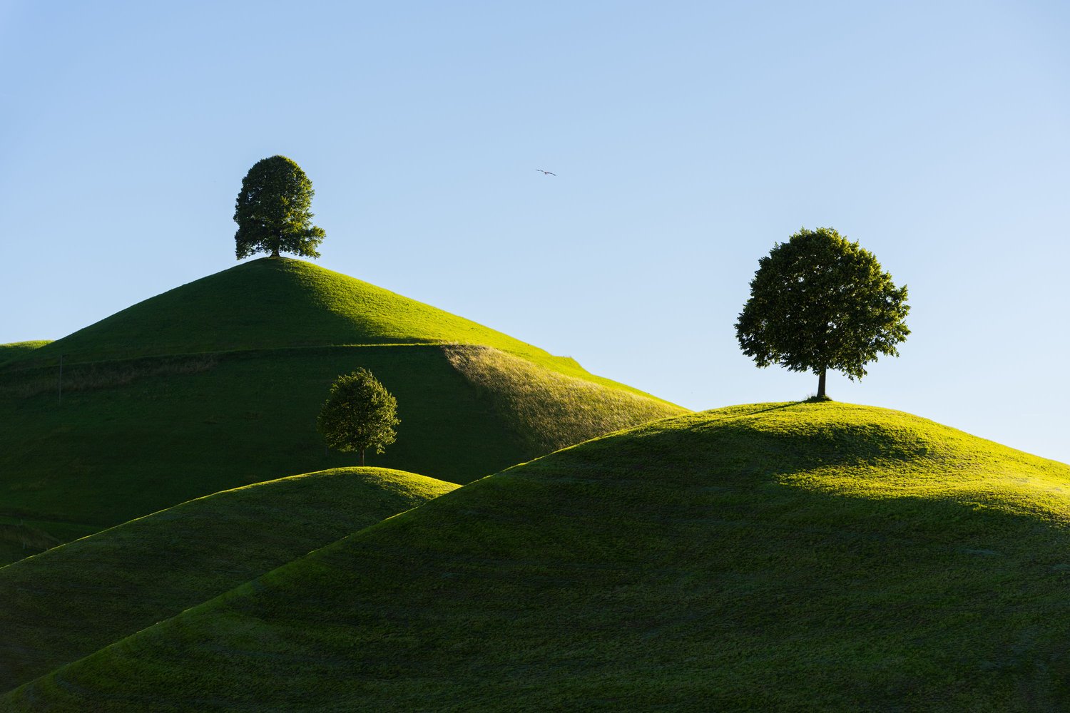 Switzerland three trees fine art landscape swiss alps hills blue sky sunset neuheim linden 2_1