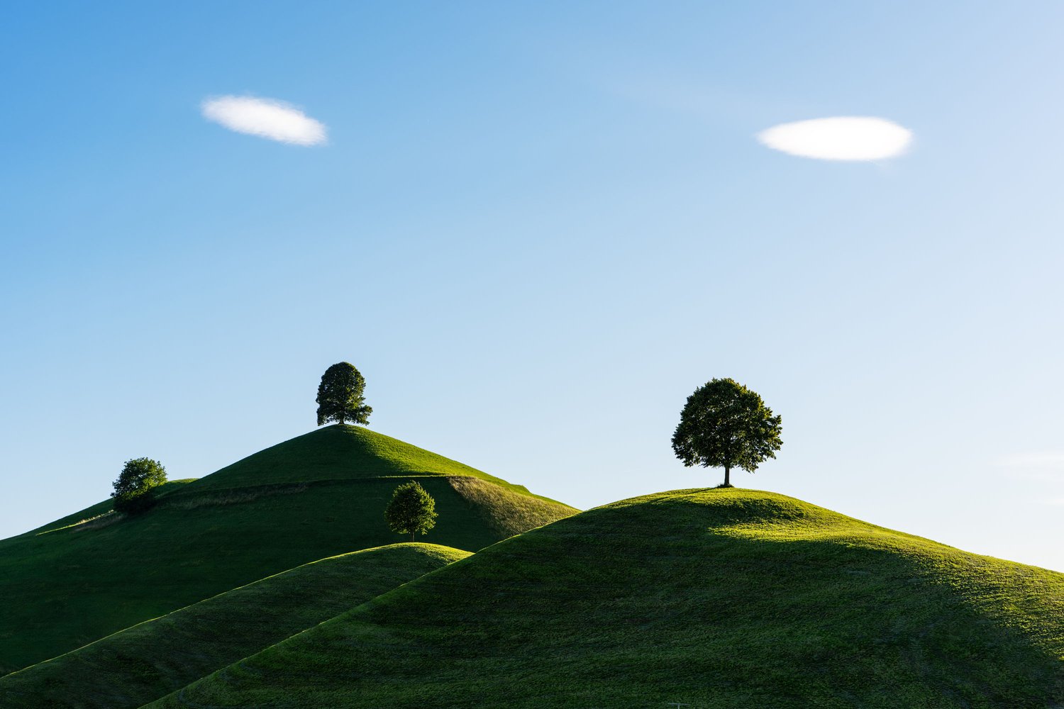 Switzerland three trees fine art landscape swiss alps hills blue sky sunset neuheim linden 3_1