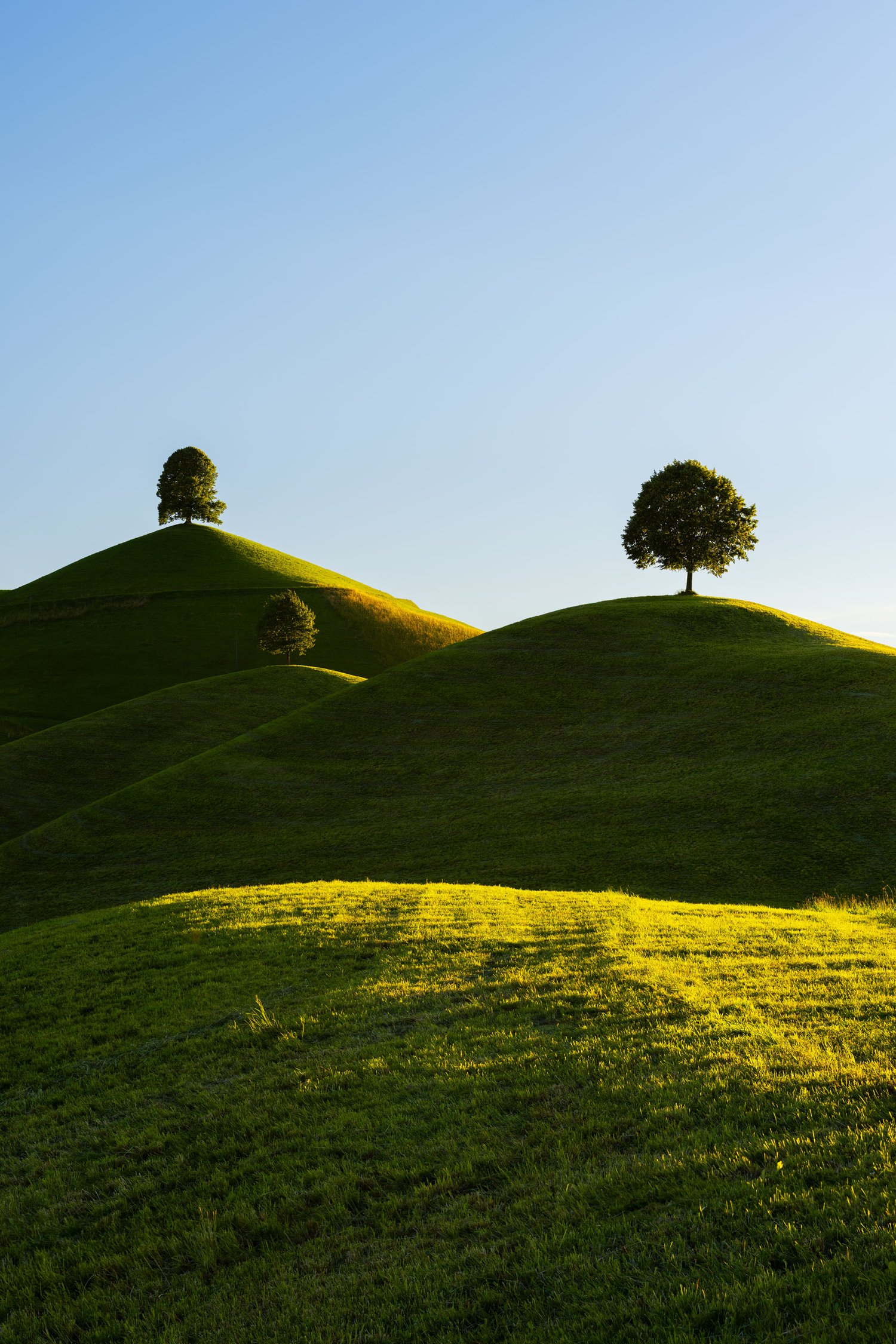 Switzerland three trees fine art landscape swiss alps hills blue sky sunset neuheim linden 6_1