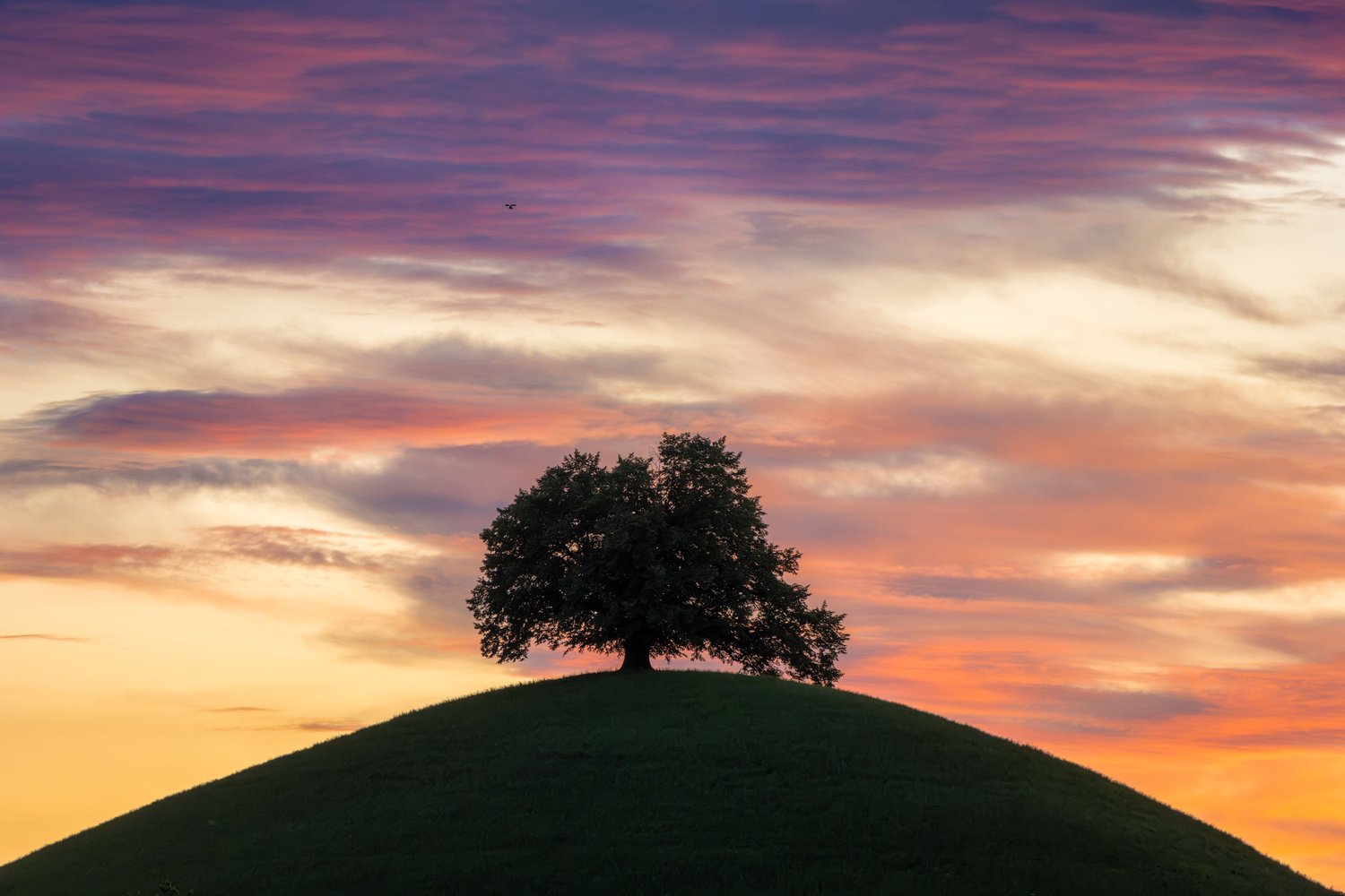 Switzerland three trees fine art landscape swiss alps hills blue sky sunset neuheim linden 7_1