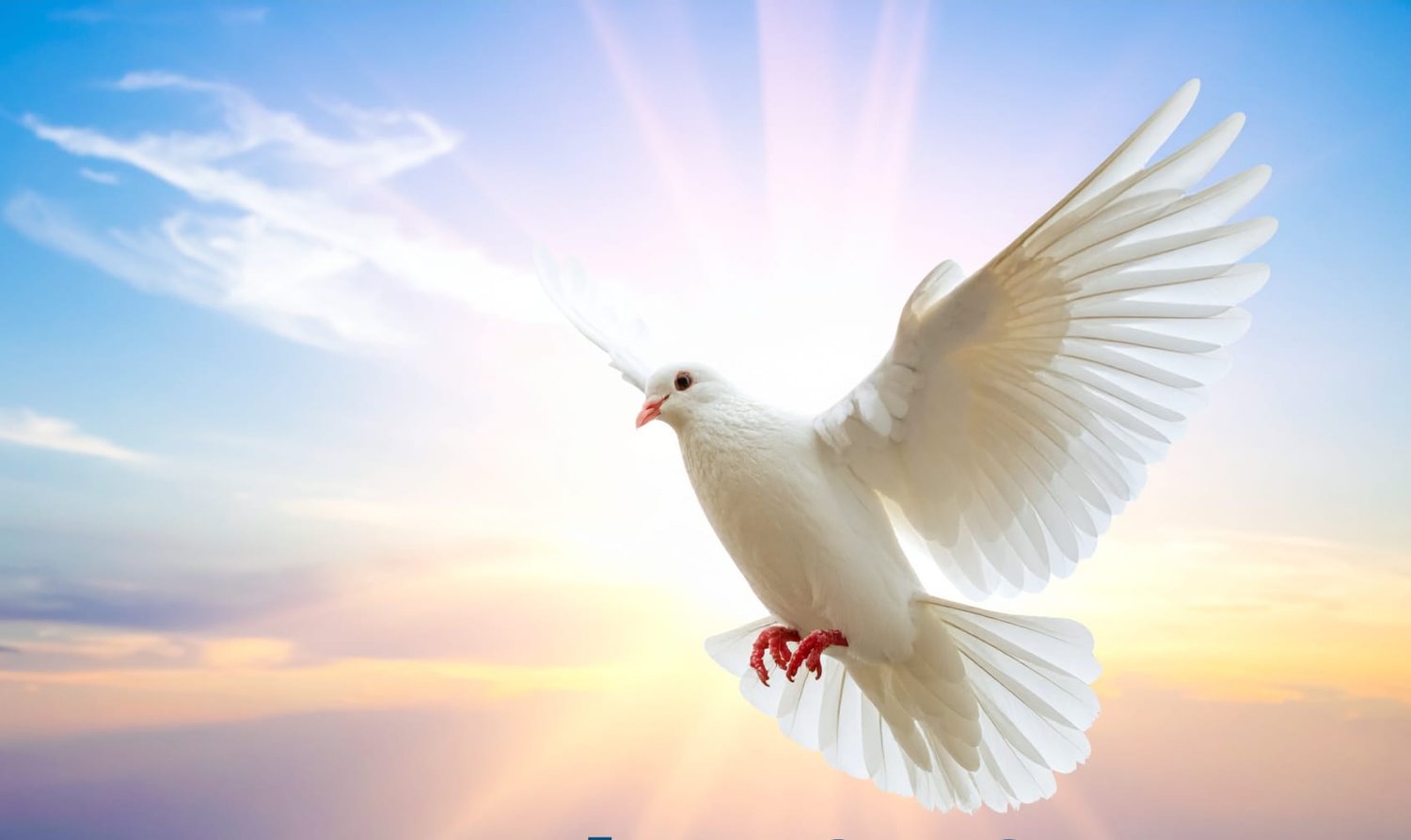 "A white dove in flight against a radiant sky, symbolizing the Holy Spirit descending as described in Matthew 3:16. This image represents the heart of Sharon Foster's writing — faith, God's presence, and encouragement for the Christian walk."