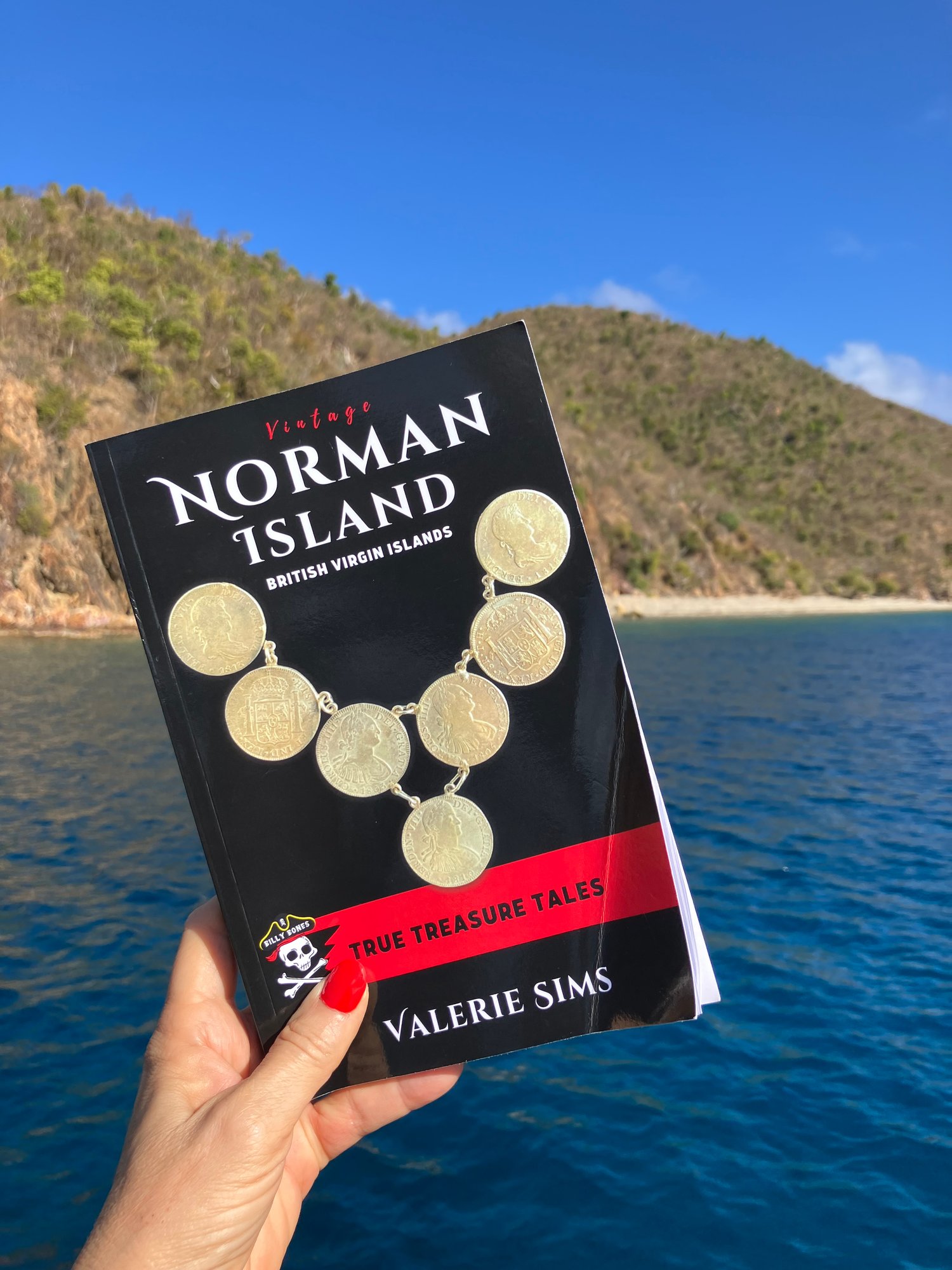 Norman Island book at Norman Island