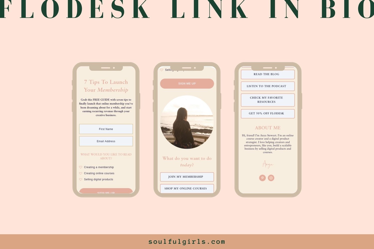 Example of one of the Flodesk link in bio templates included.