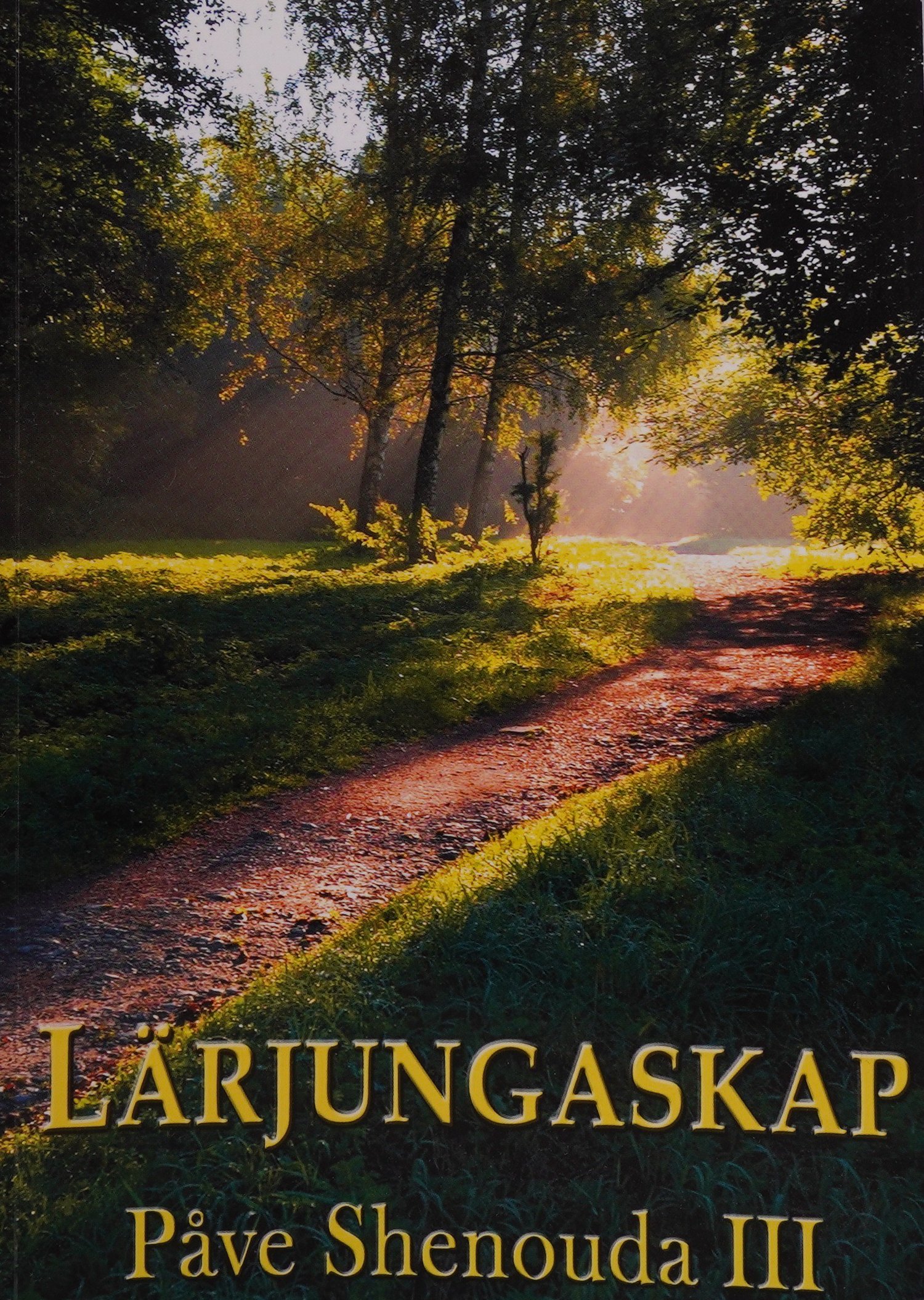 Lärjungaskap