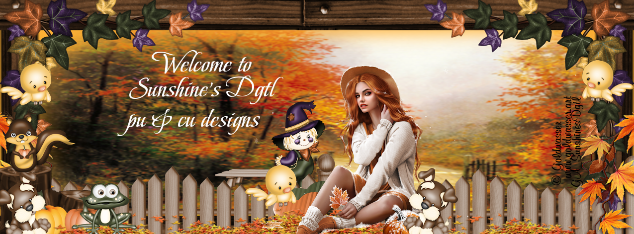 Welcome to Sunshine's Digital Creationz where you can find PTU and FTU designs for your scrapbooking creations of kits, papers, word arts, psp scripts, elements, frame clusters, posers etc designs