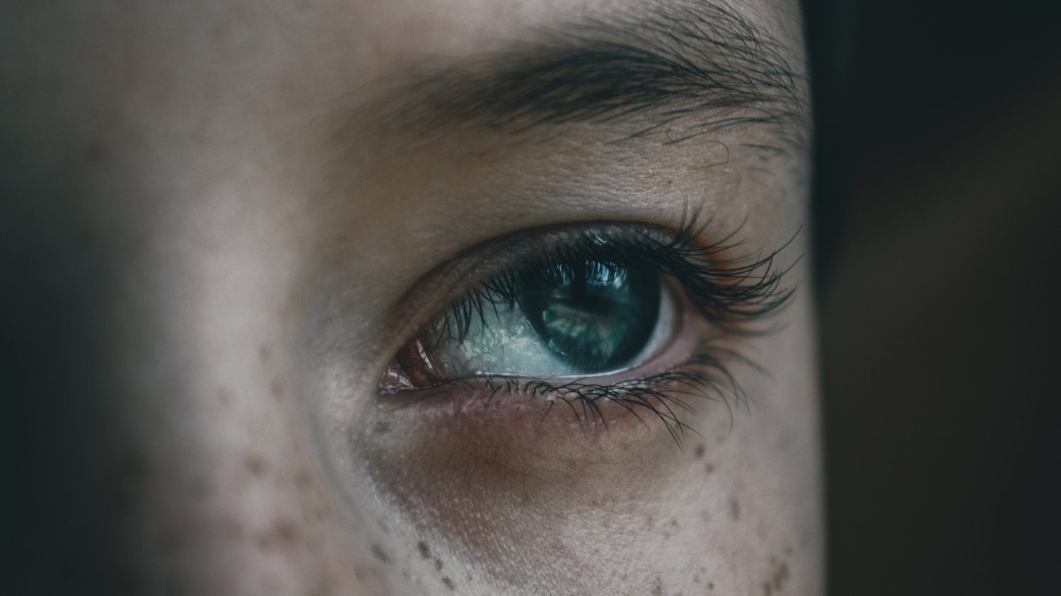 close-up of a person's blue-green eye and eyebrow, lit softly with a faint reflection visible in the iris, evoking the eye as a receiver of light rather than simply a window looking outward.