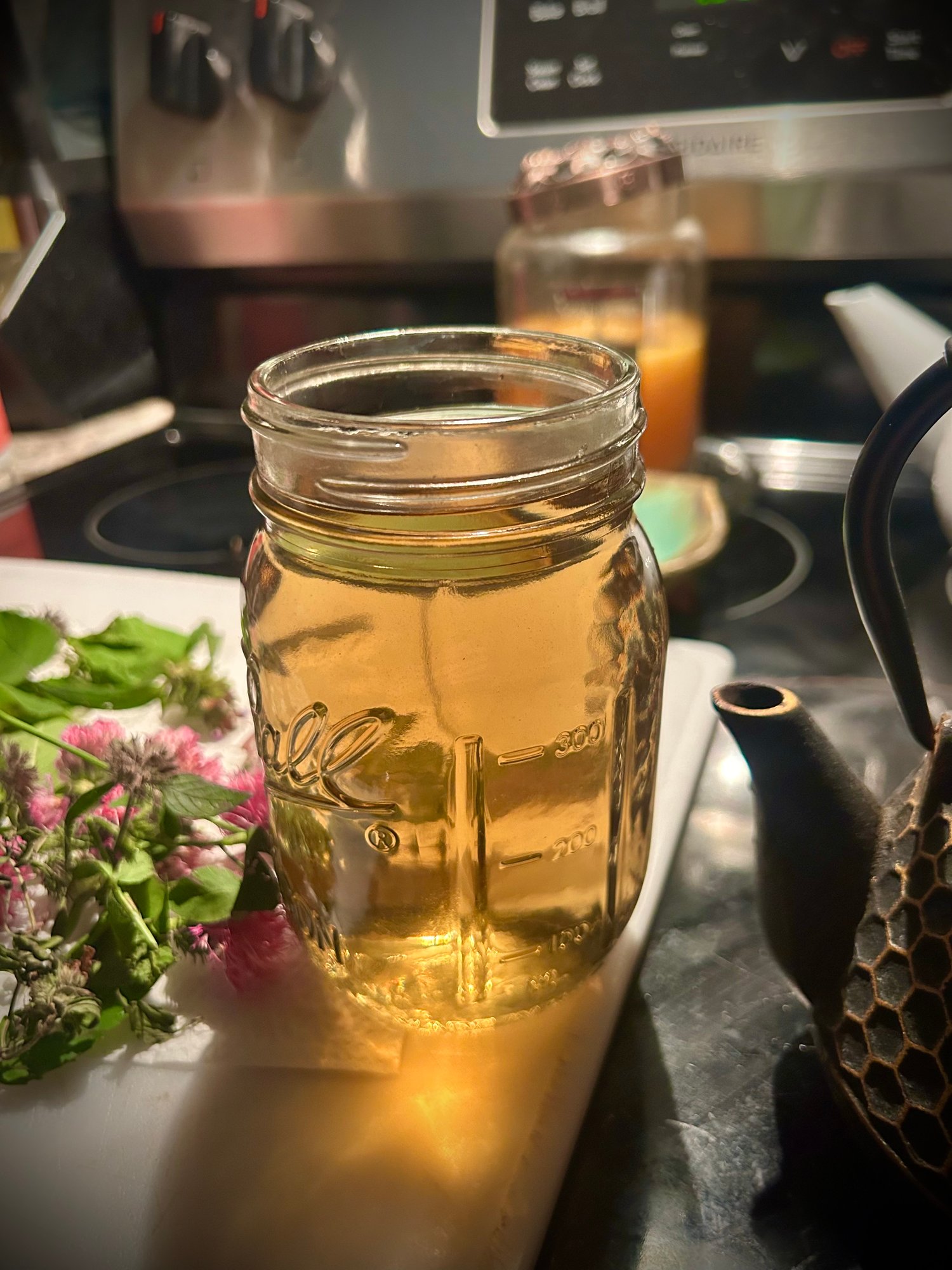 From Forest to Teacup: My Wild-Foraged Herbal Tea Blend