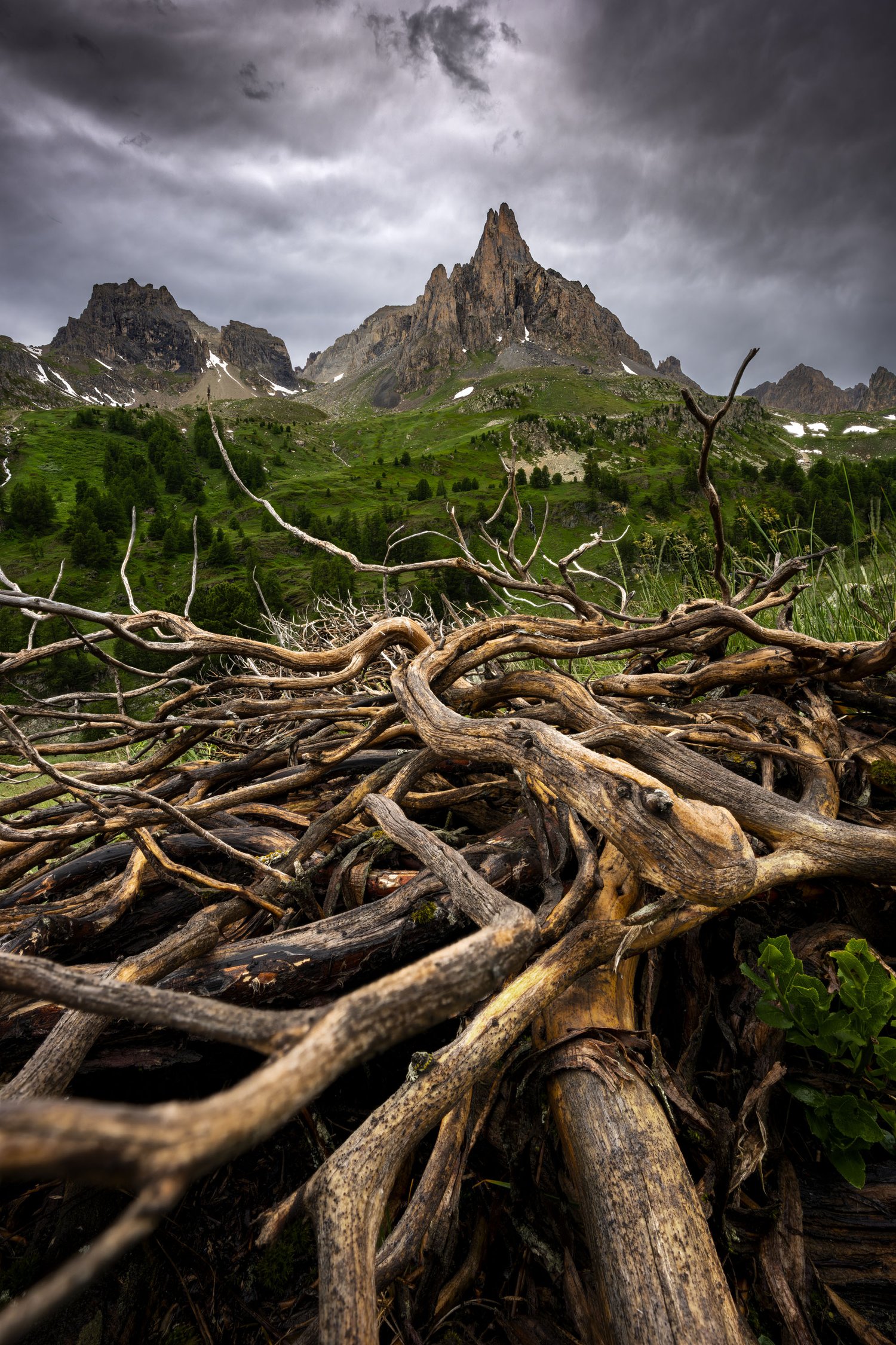 France Landscape Photography Val Claree Vallée de la moody mountains 3 moody roots 1