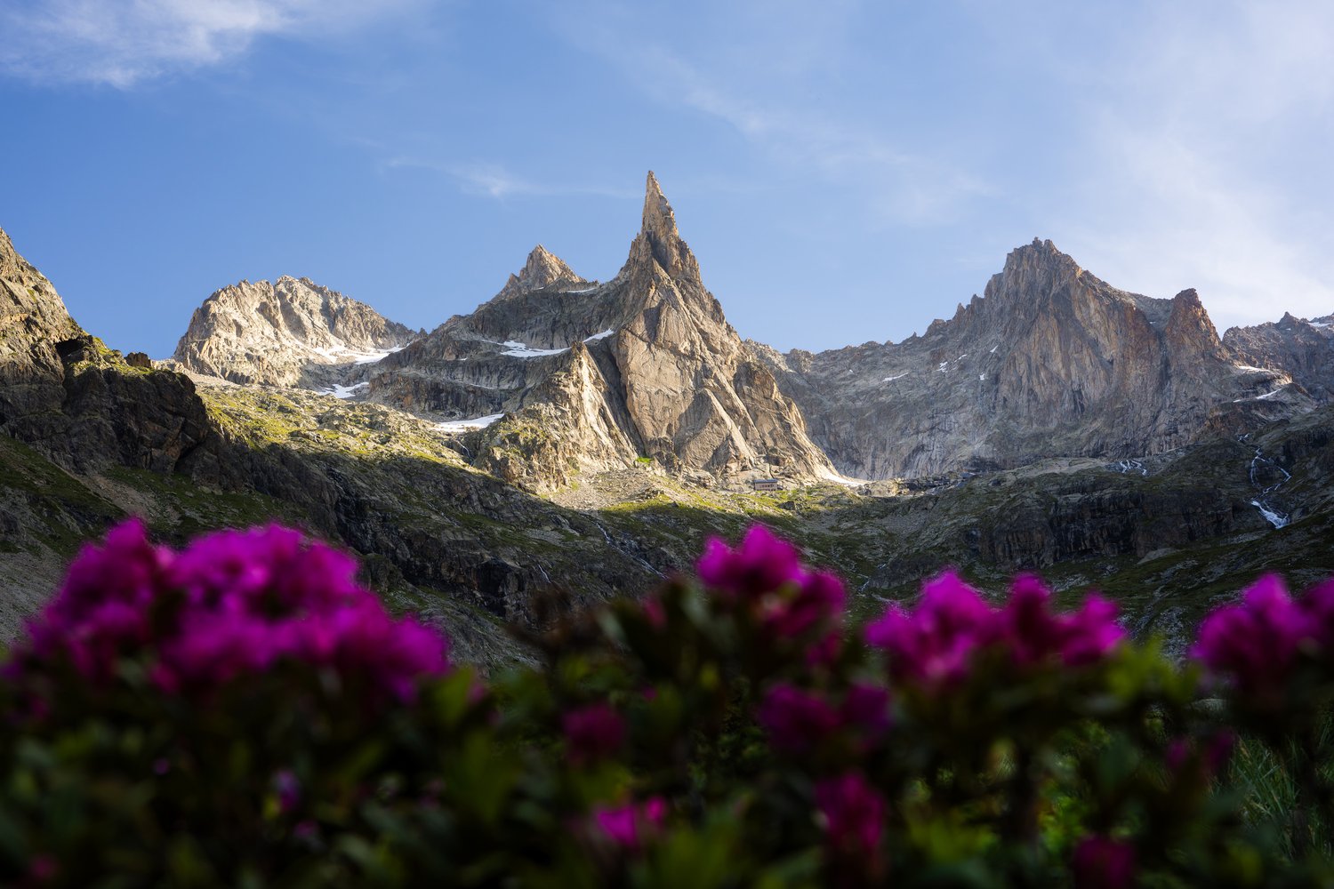 France Landscape Photography Dibona Aiguille French Alps spire mountain epic dramatic 9 vista flowers_1