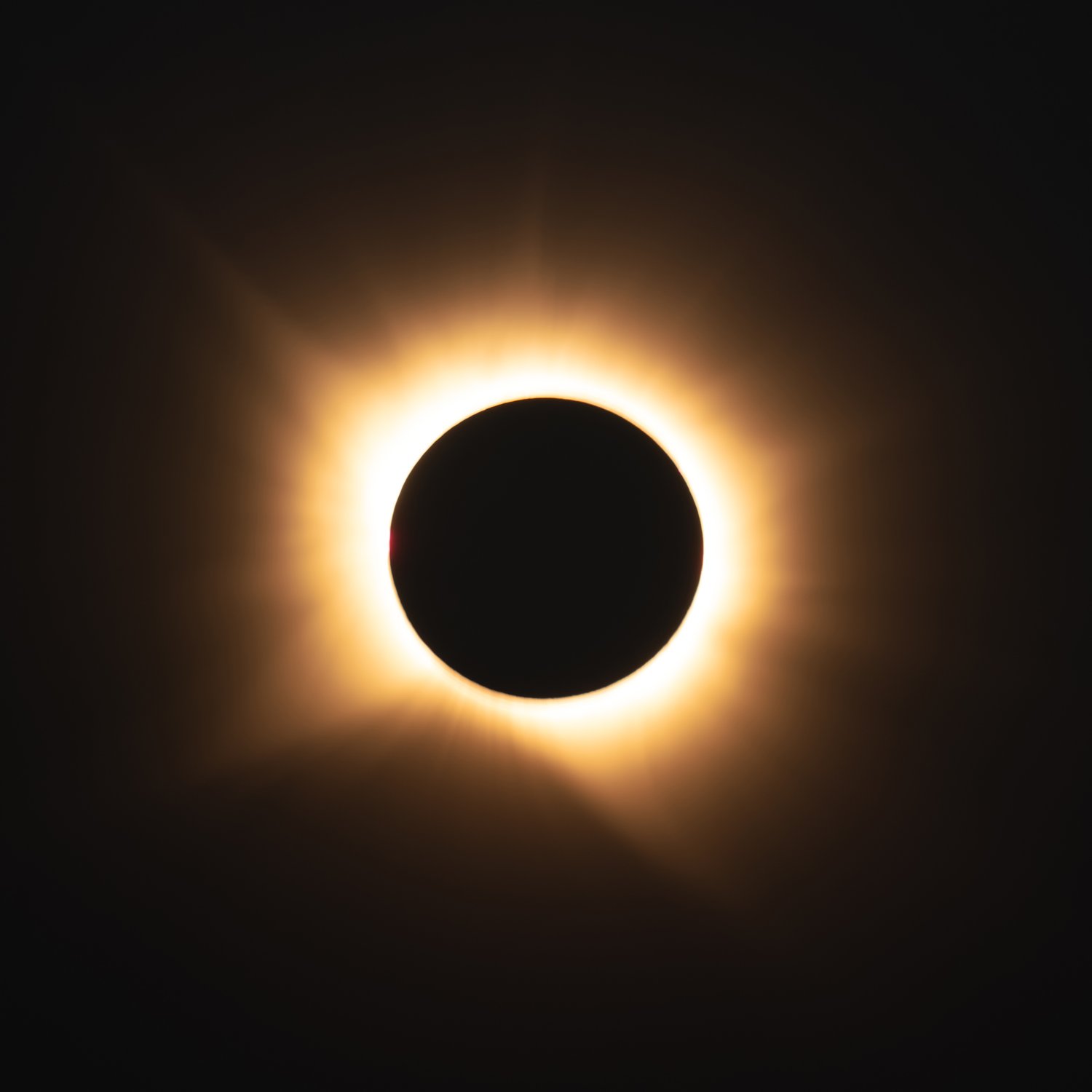 Spain 2026 total solar eclipse sunflower field flowers landscape minimalist photography 12 close-up a7r3