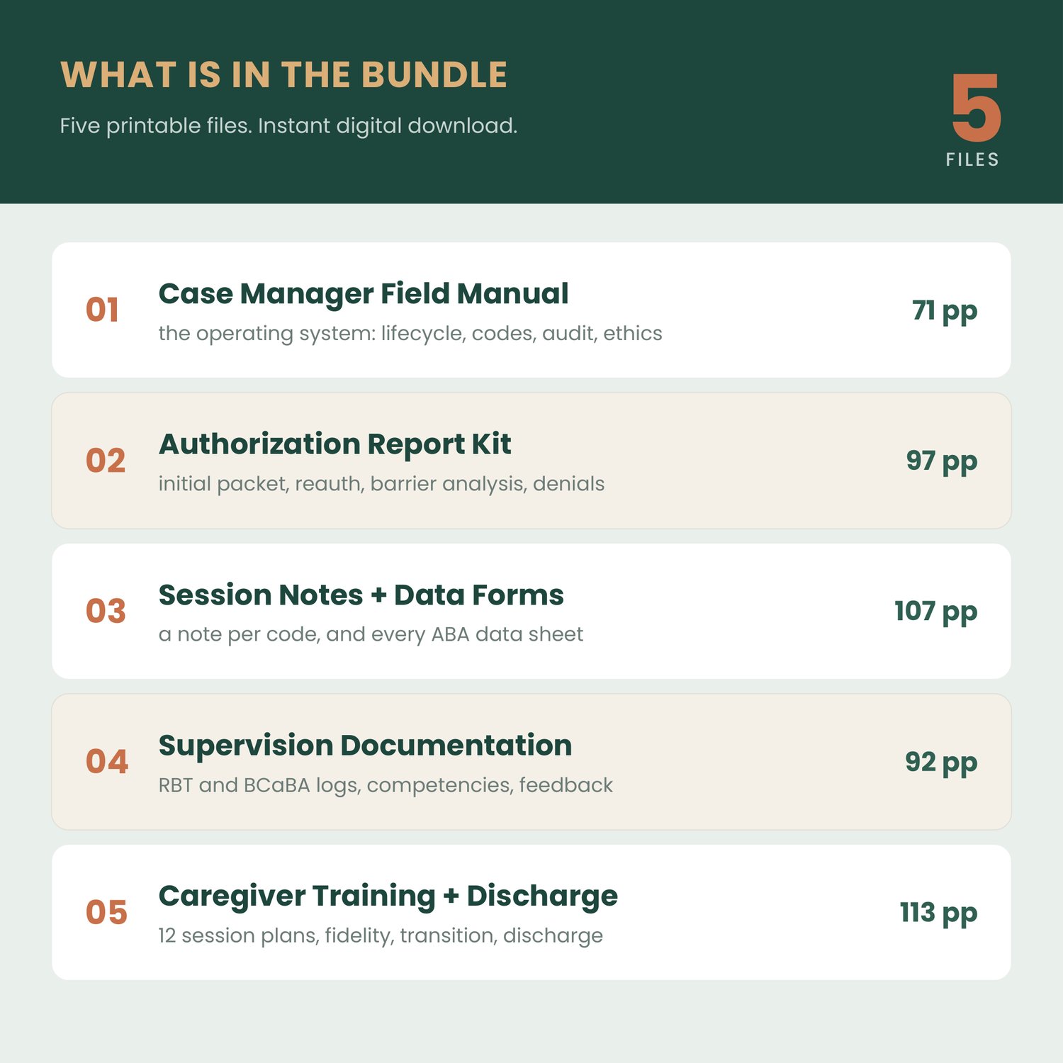 BCBA Case Manager Bundle, preview image 2 of 9