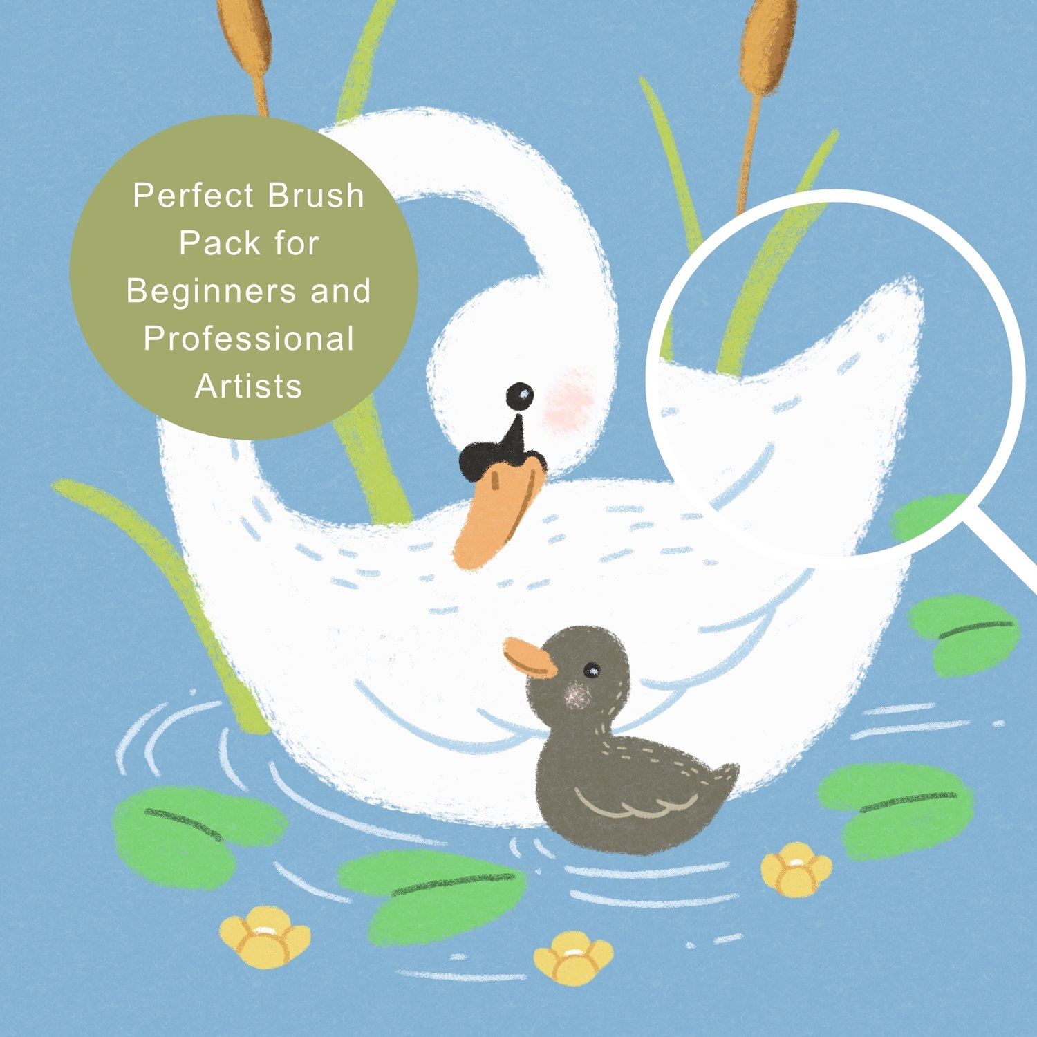 Procreate painting and coloring brushes for adding color, soft texture and expressive marks to illustrations