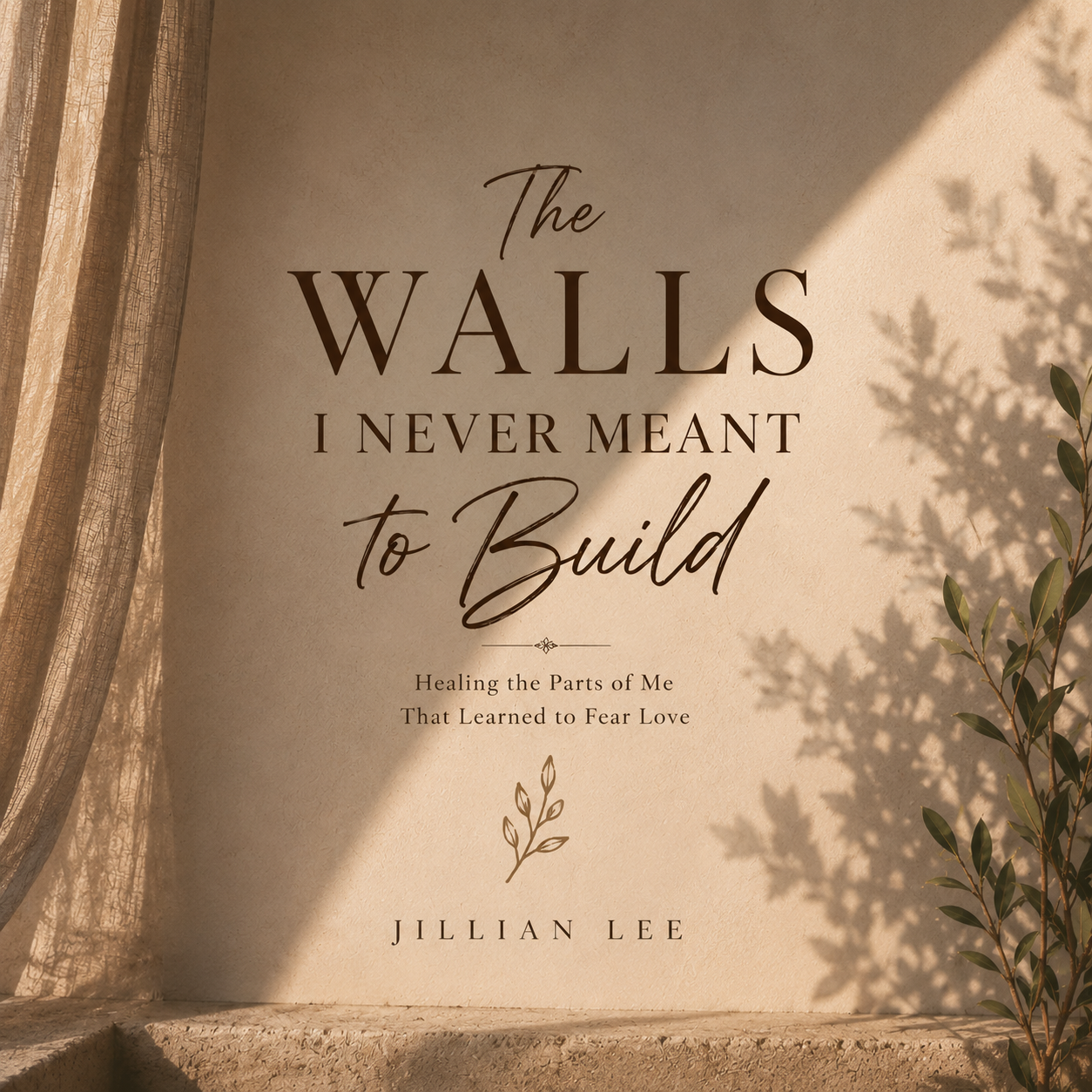 The Walls I Never Meant To Build book cover