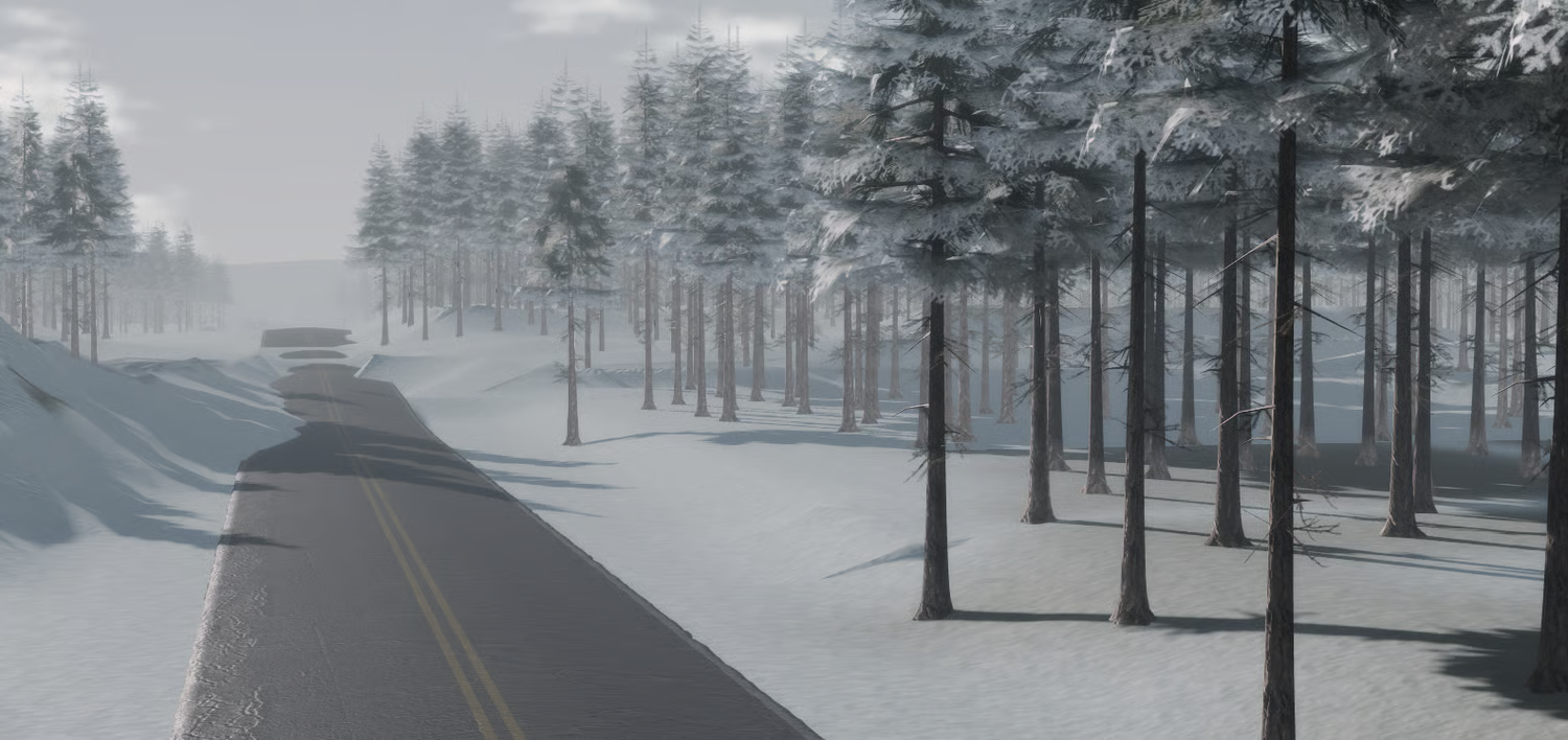 Snow-covered winding driving road through dense conifer forest