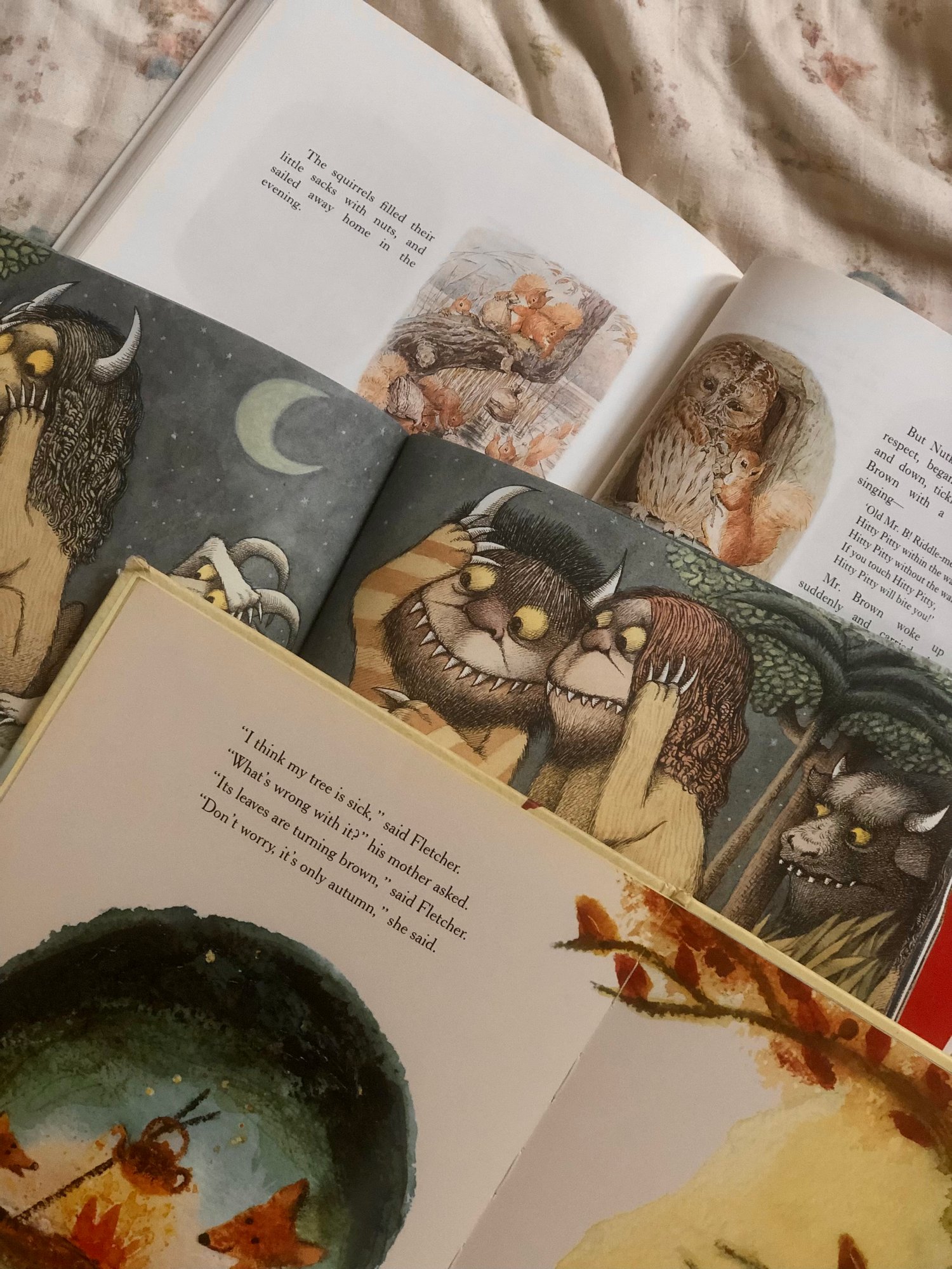 beautiful cozy picture books for kids