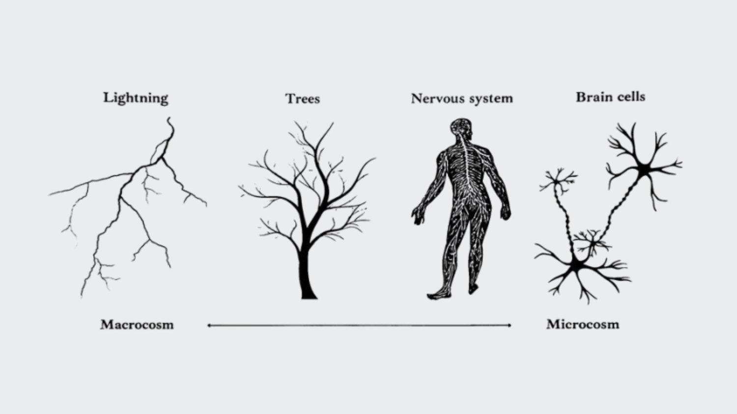 Image of lighting, trees, nervous system and brain cells representing as above so below in spiritual or esoteric conversations.