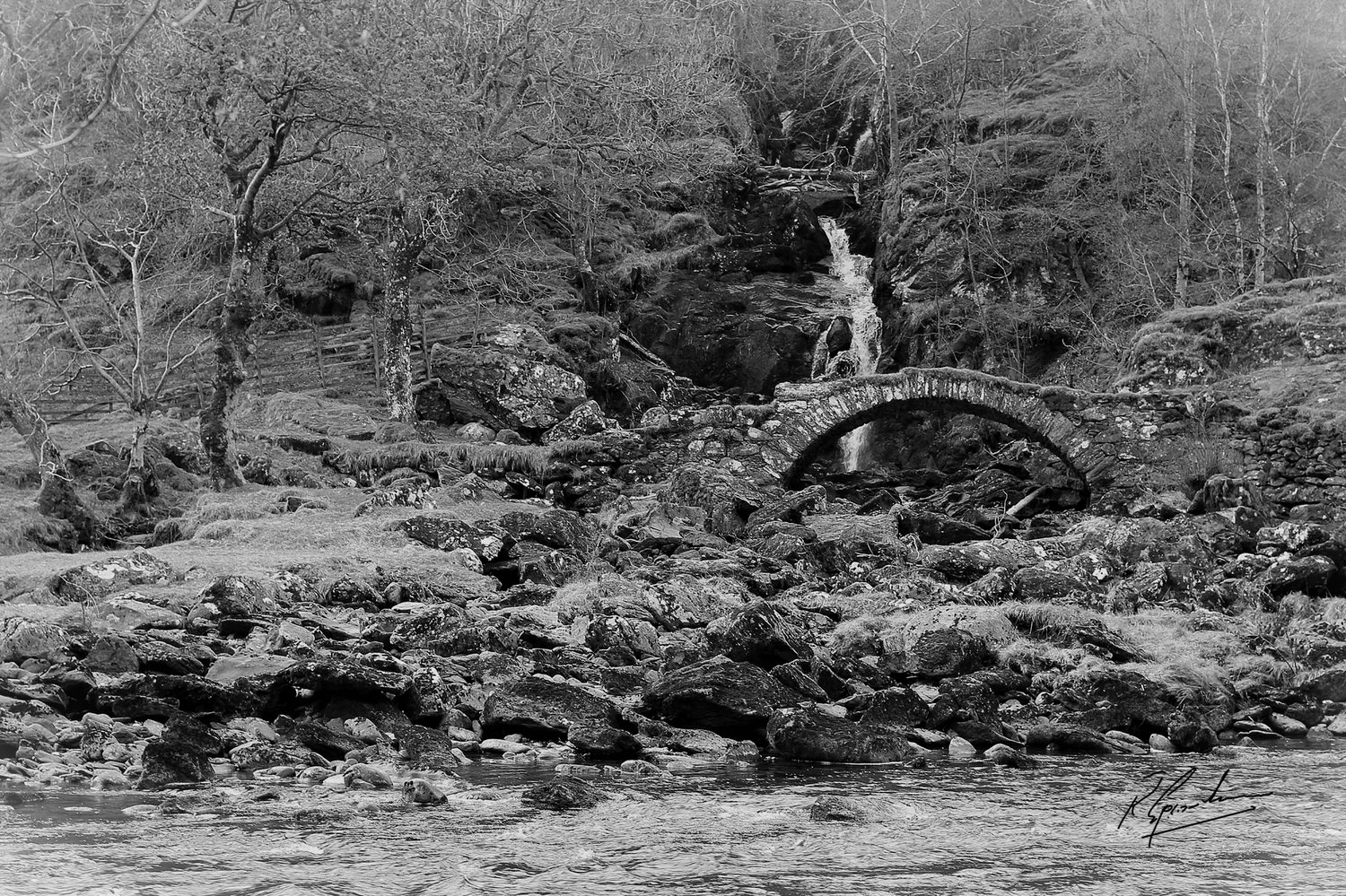 The Fall of the Siren, Black and White.