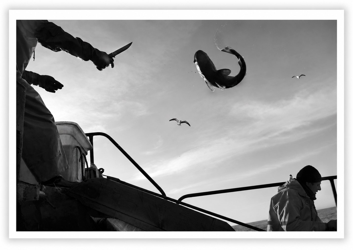 A fisherman cuts the gills of a fish and throws it into the cargo hold. Off the shore of the Kuril Islands, the North Pacific, 2015 Photo by Oleg Klimov