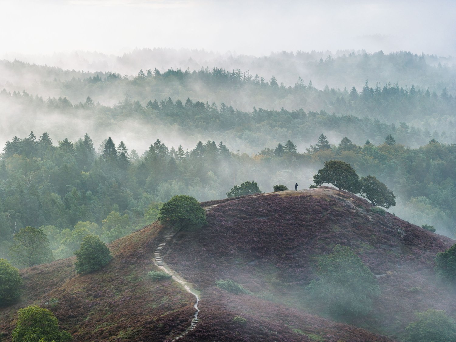 Sindbjerg og Stovbjerg moody landscape photography denmark heather lyng season 2 drone